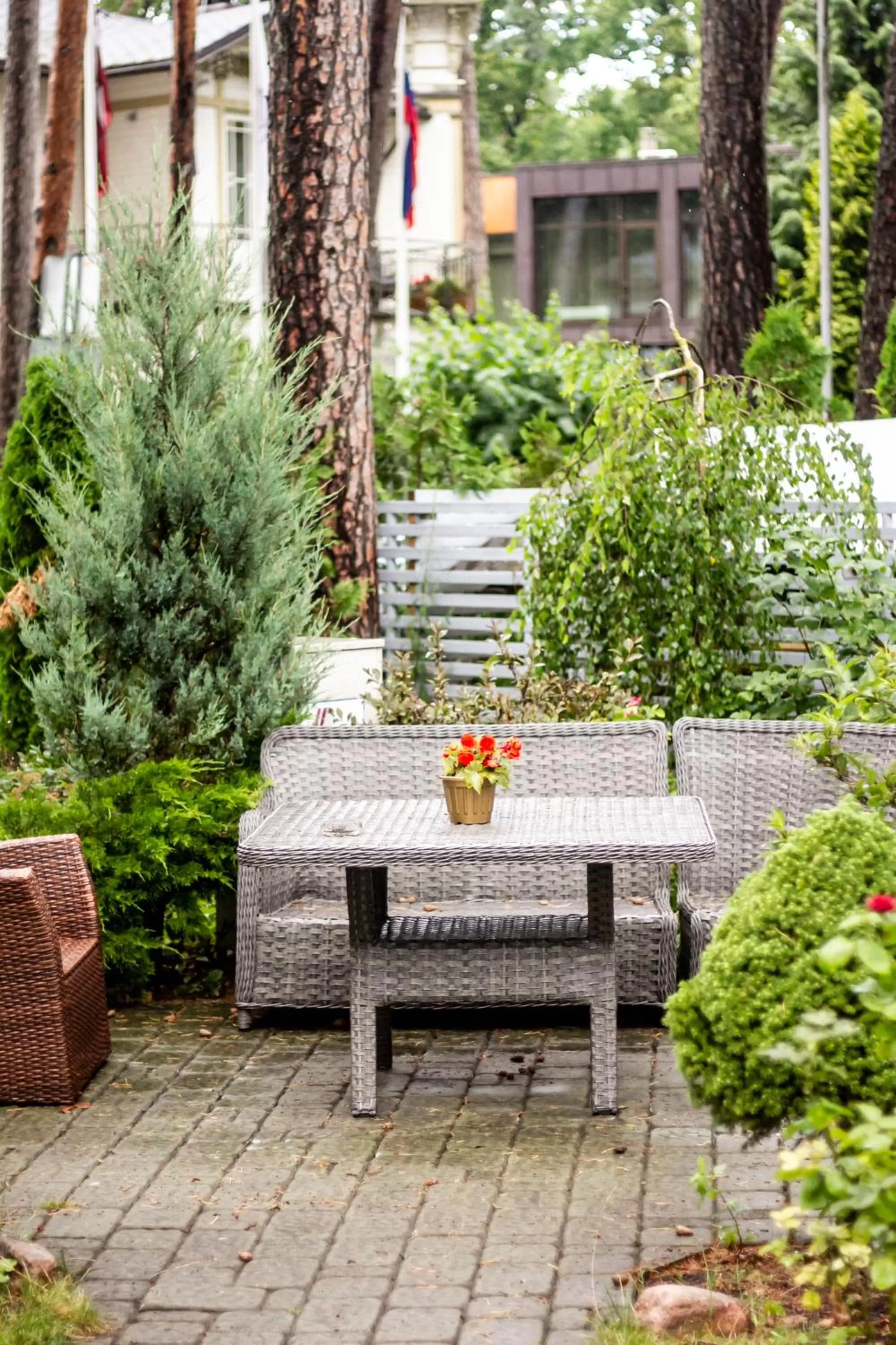 Garden in Sunset Hotel