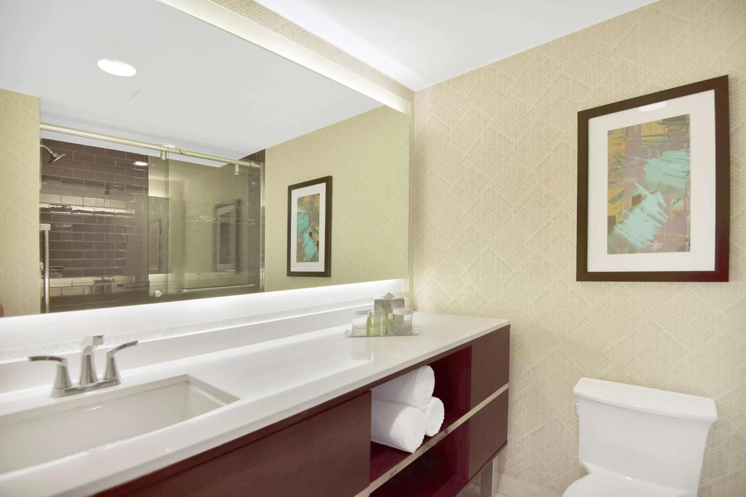 Bathroom in DoubleTree by Hilton Hotel & Suites Houston by the Galleria