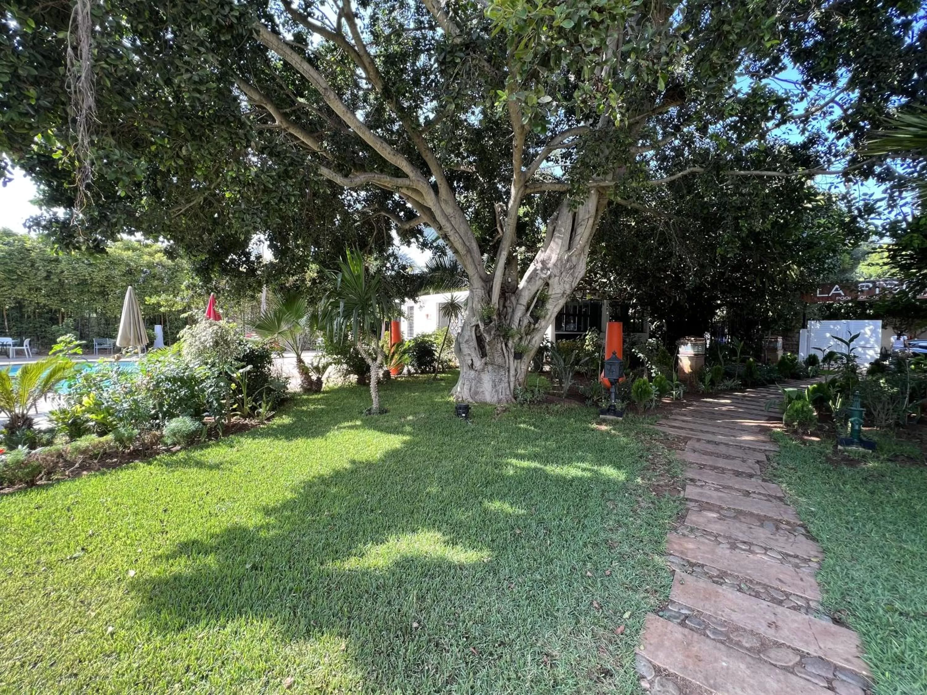 Garden in Le Sphinx Boutique Hôtel