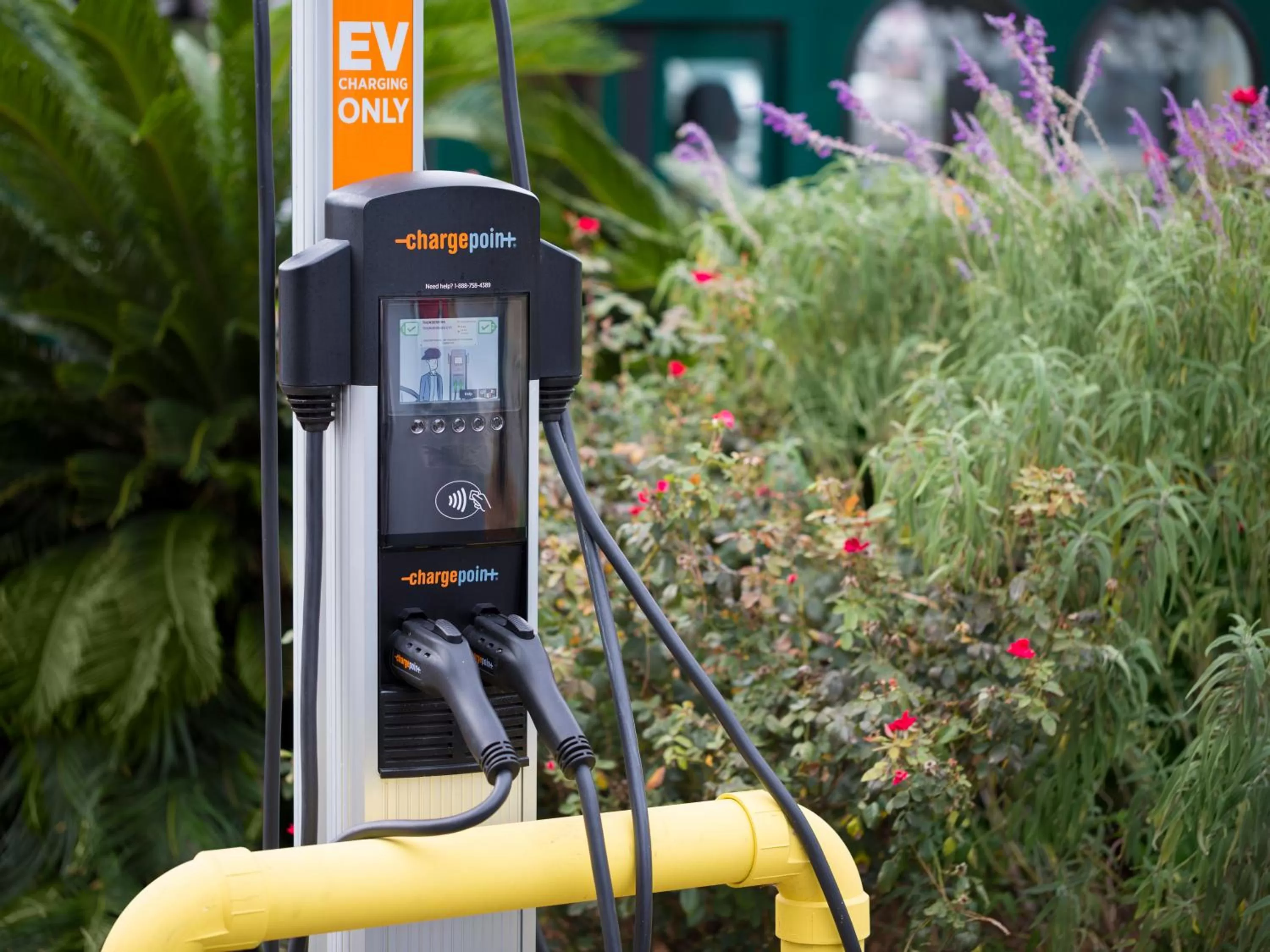 Day in The Thunderbird Inn