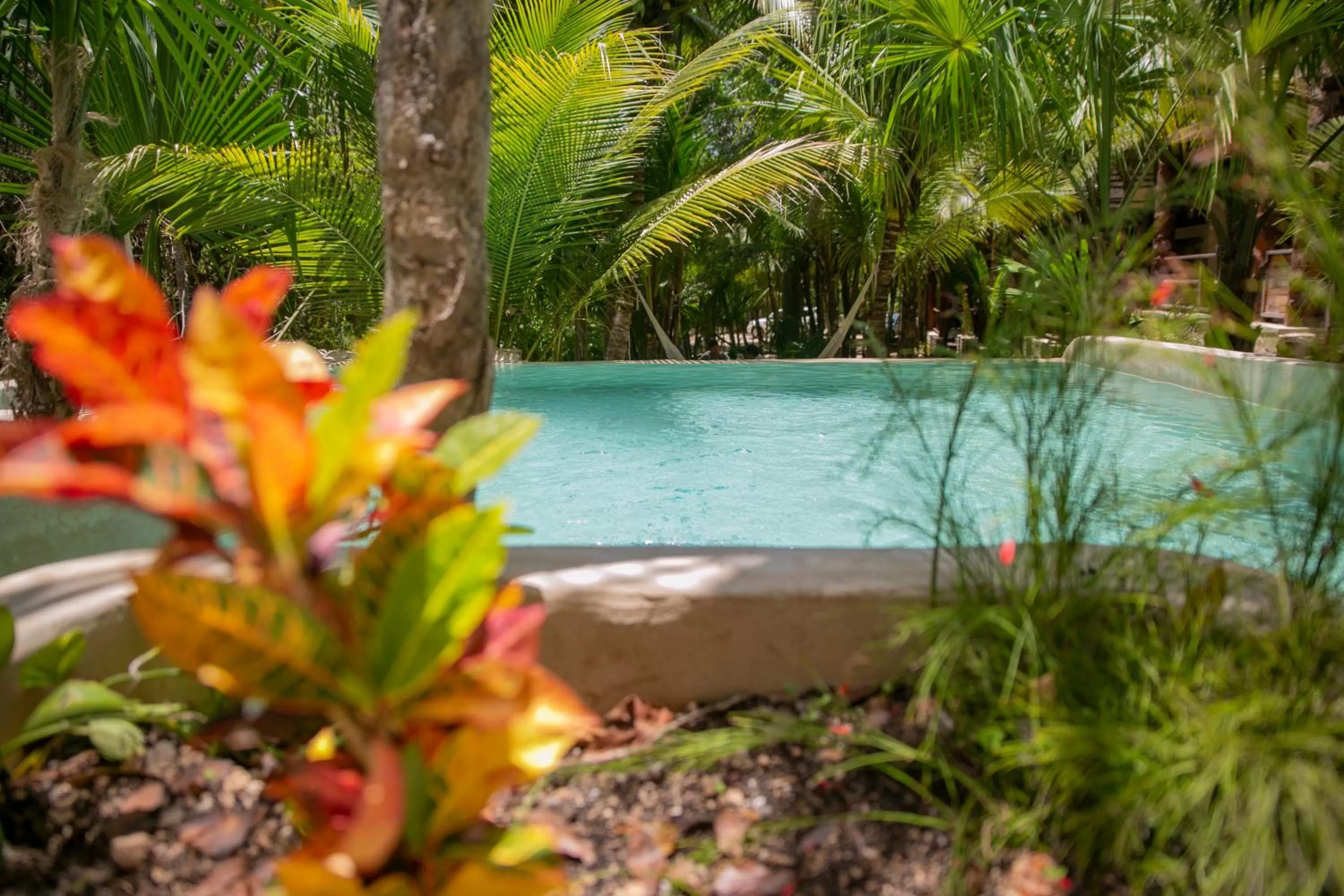 Swimming pool in Hotel Buenavista Bacalar Jungle Experience