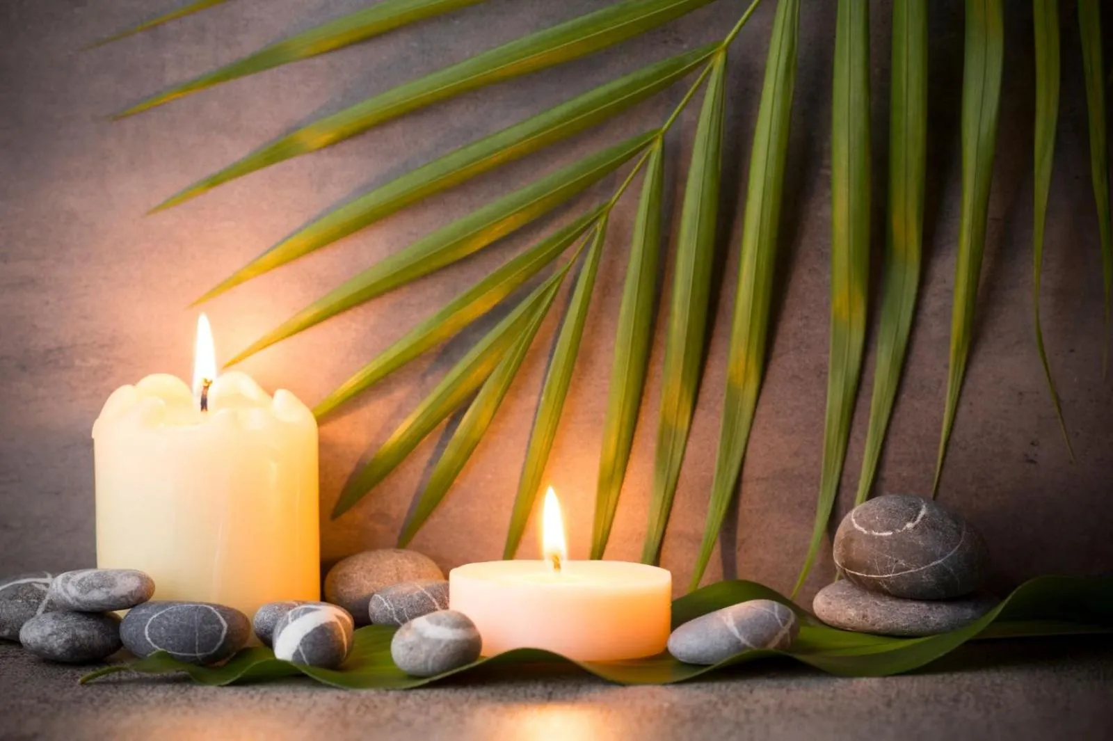 Seating area in Vega Hotel