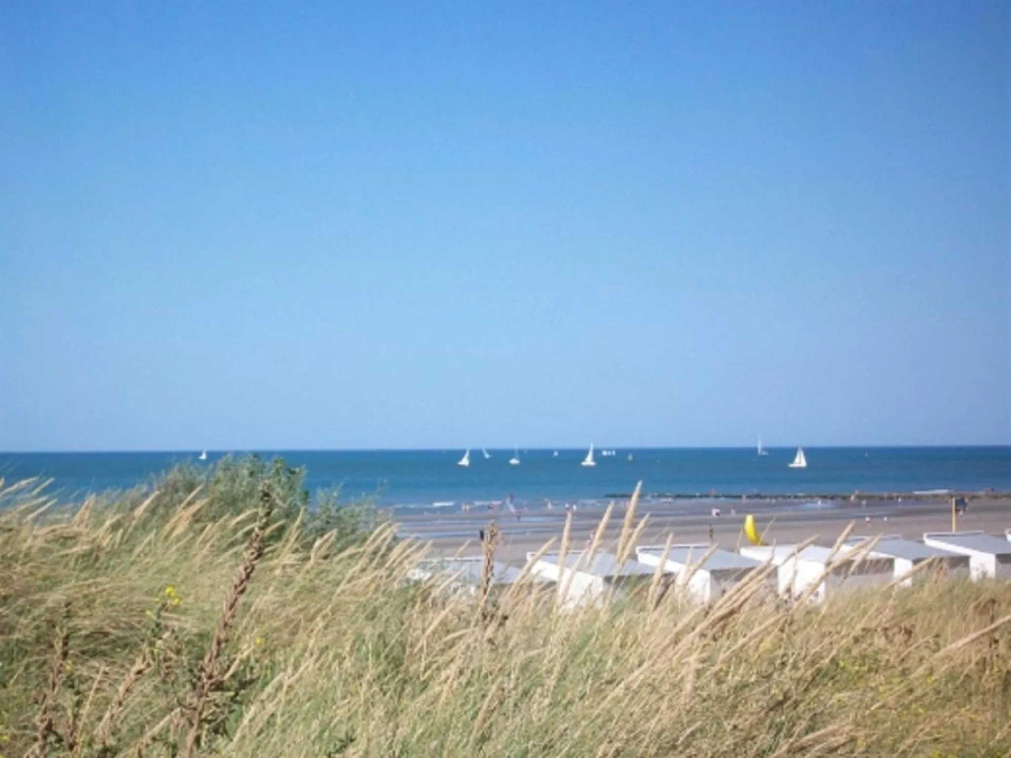 Area and facilities in Cosmopolite Hotel Nieuwpoort-Bad