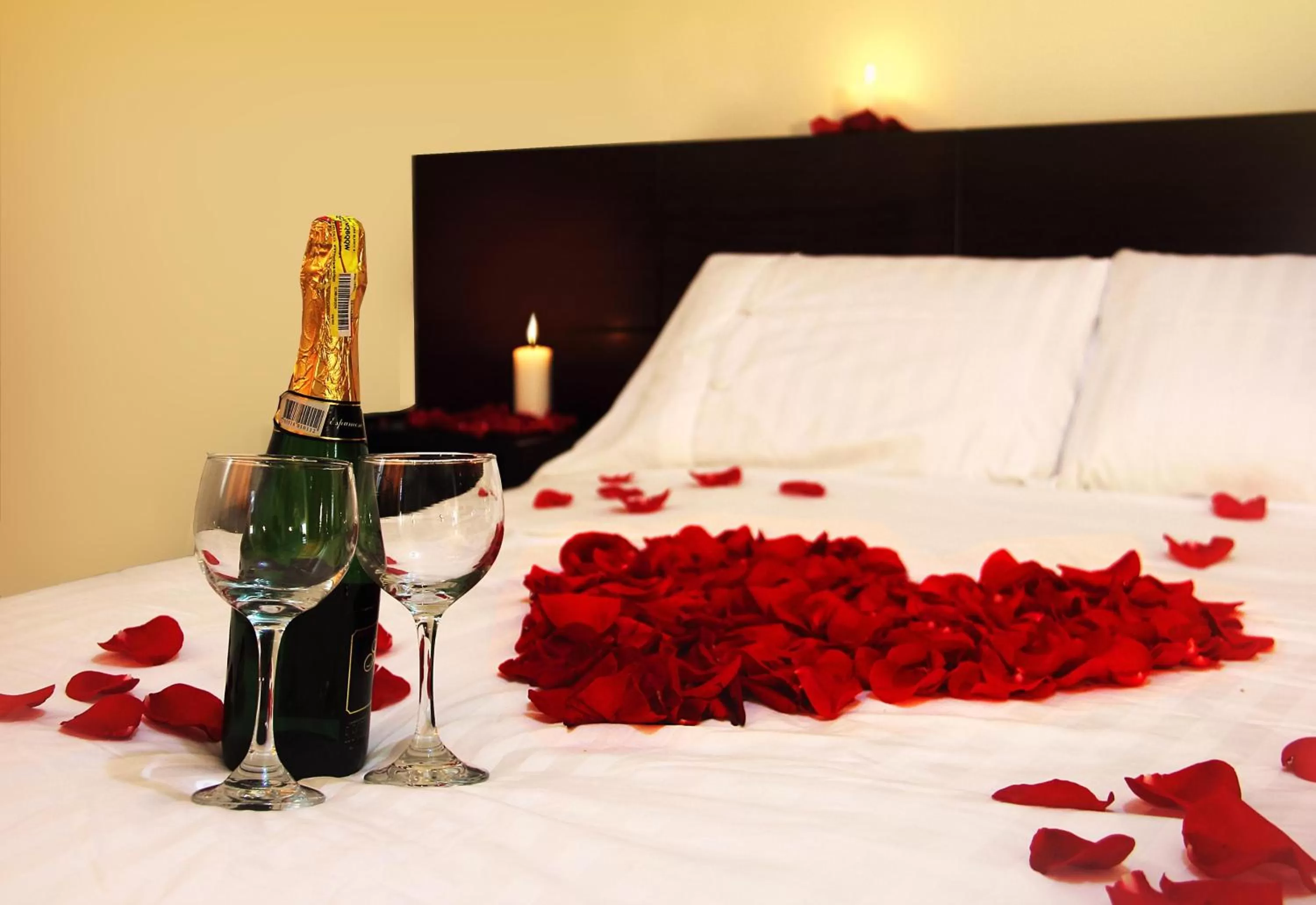 Alcoholic drinks, Bed in Gran Hotel Cali