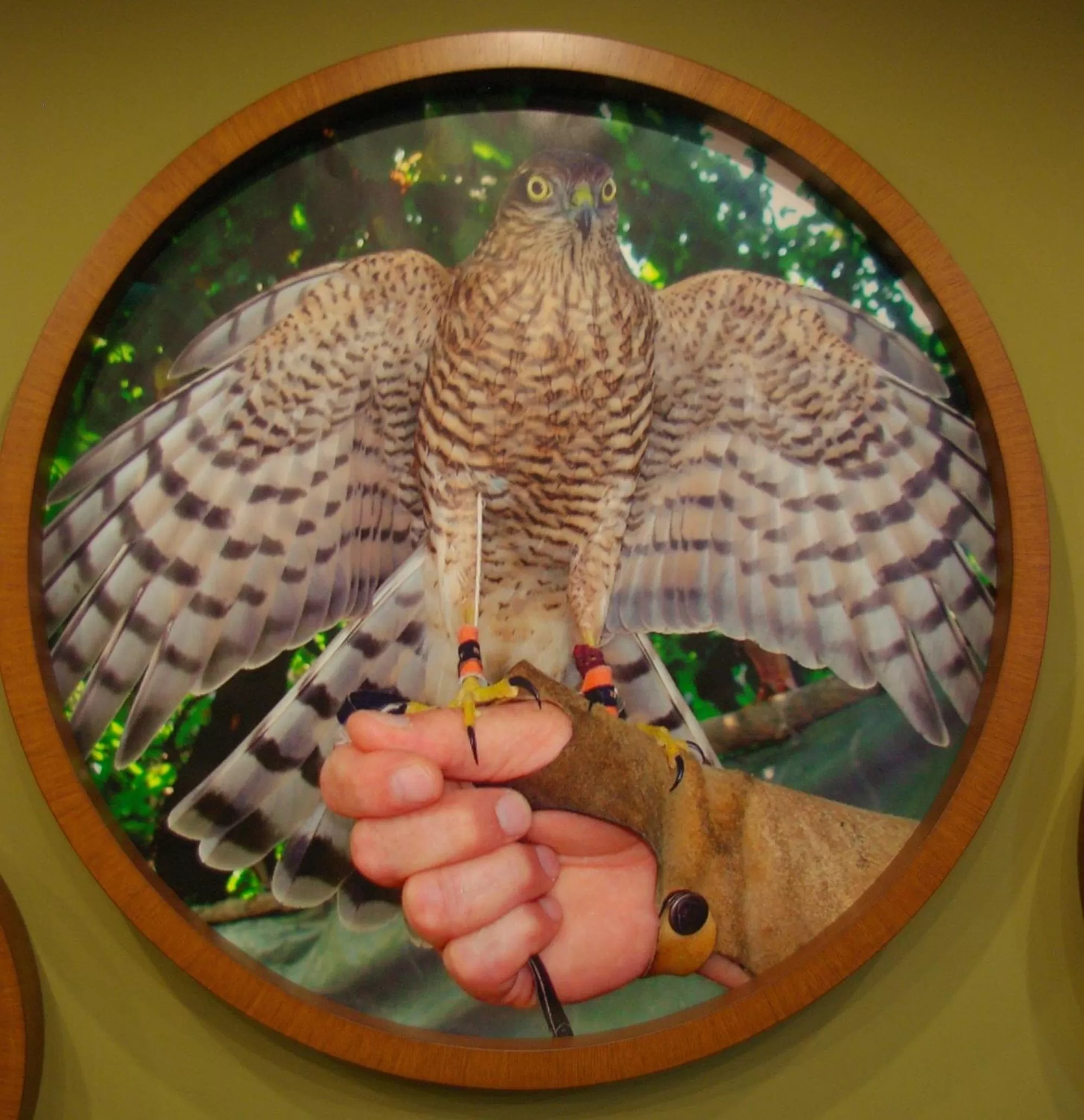 Other in Hopa Heyamo Hotel