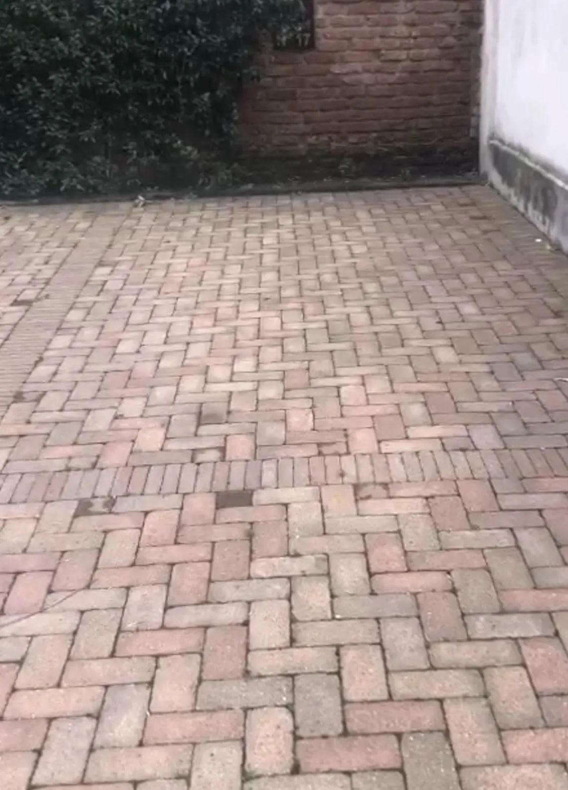 Parking in Gatto Bianco Mia Aparthotel