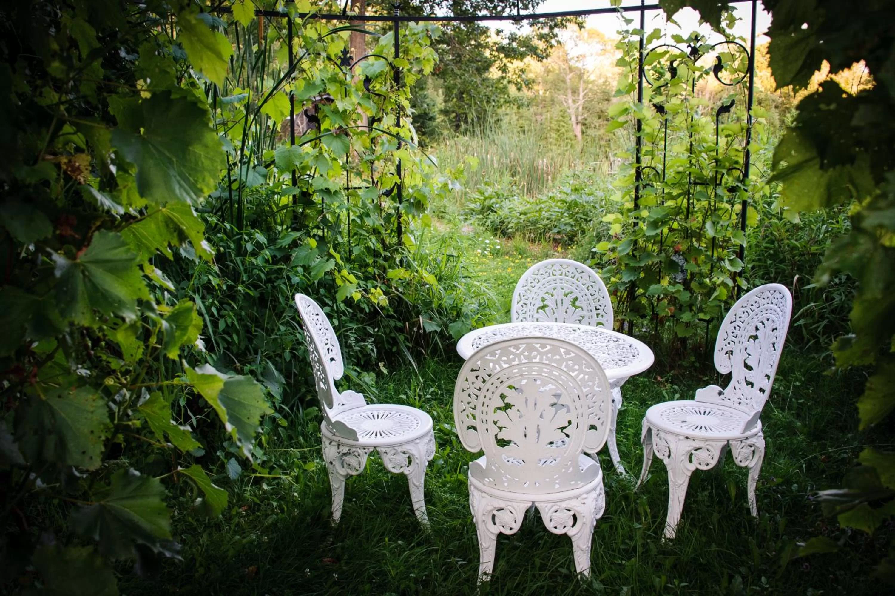 Patio in Shambhala Bed and Breakfast