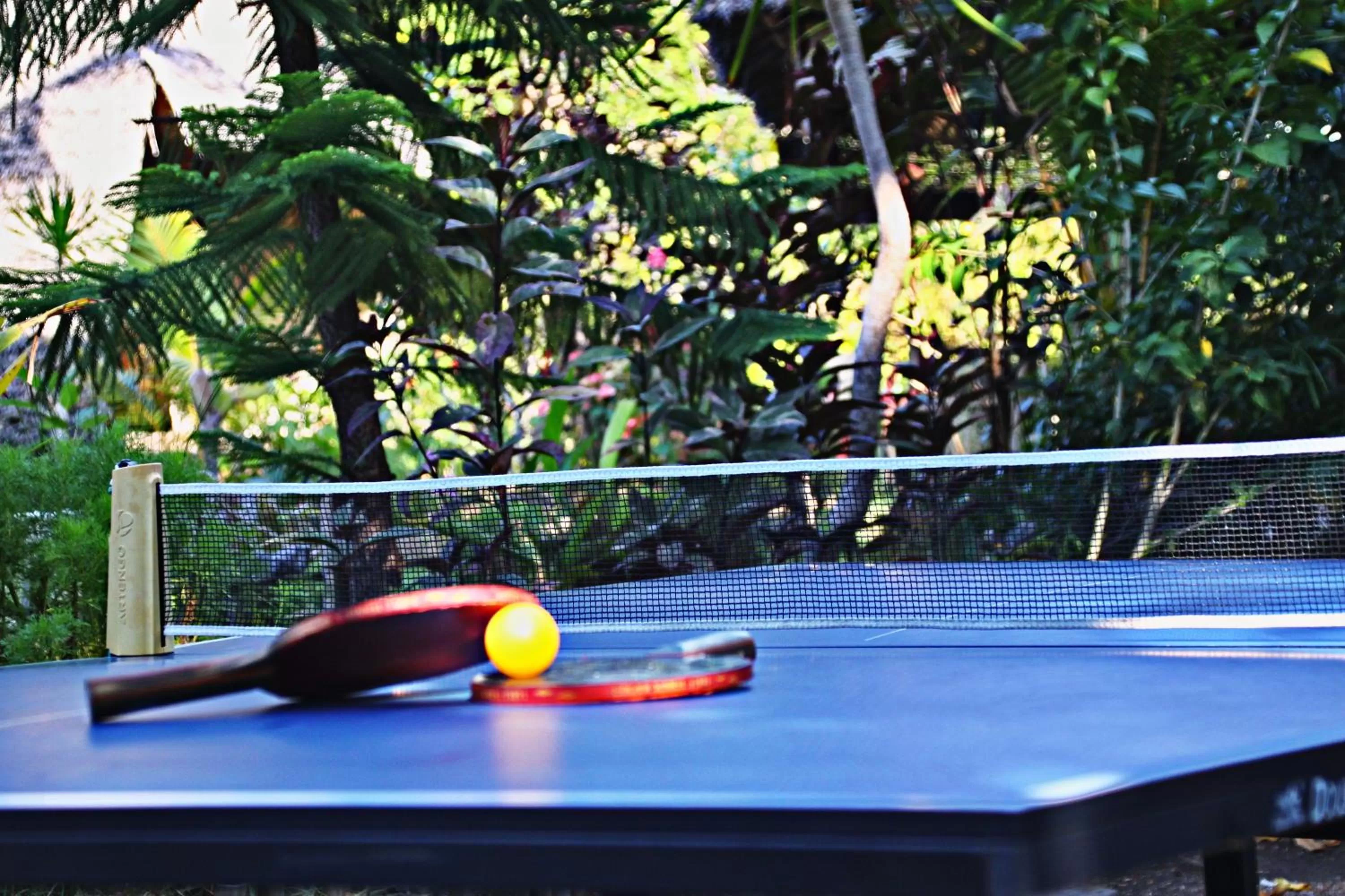 Activities in Meno Dream Resort