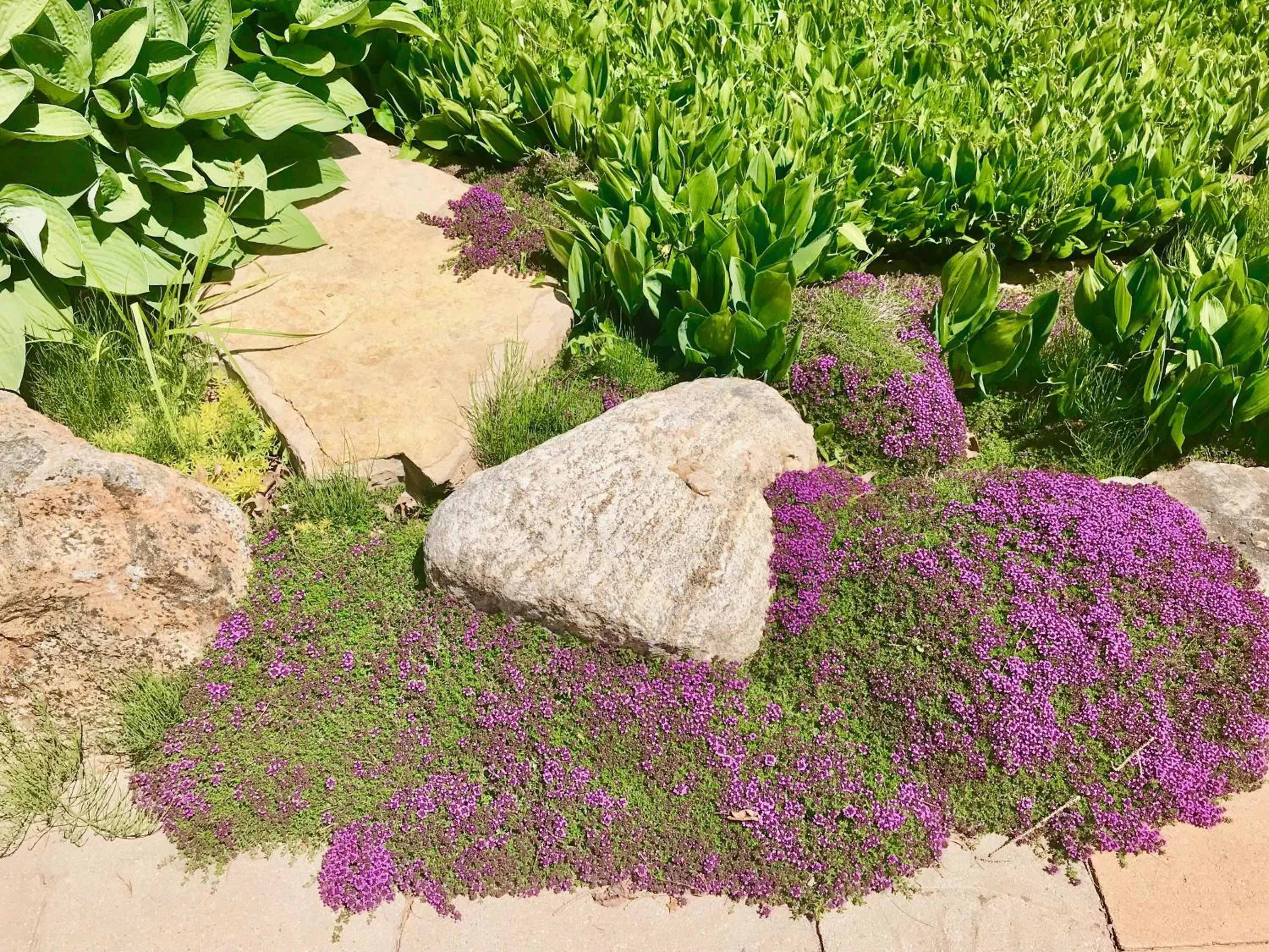 Garden in Auberge Tom B&B