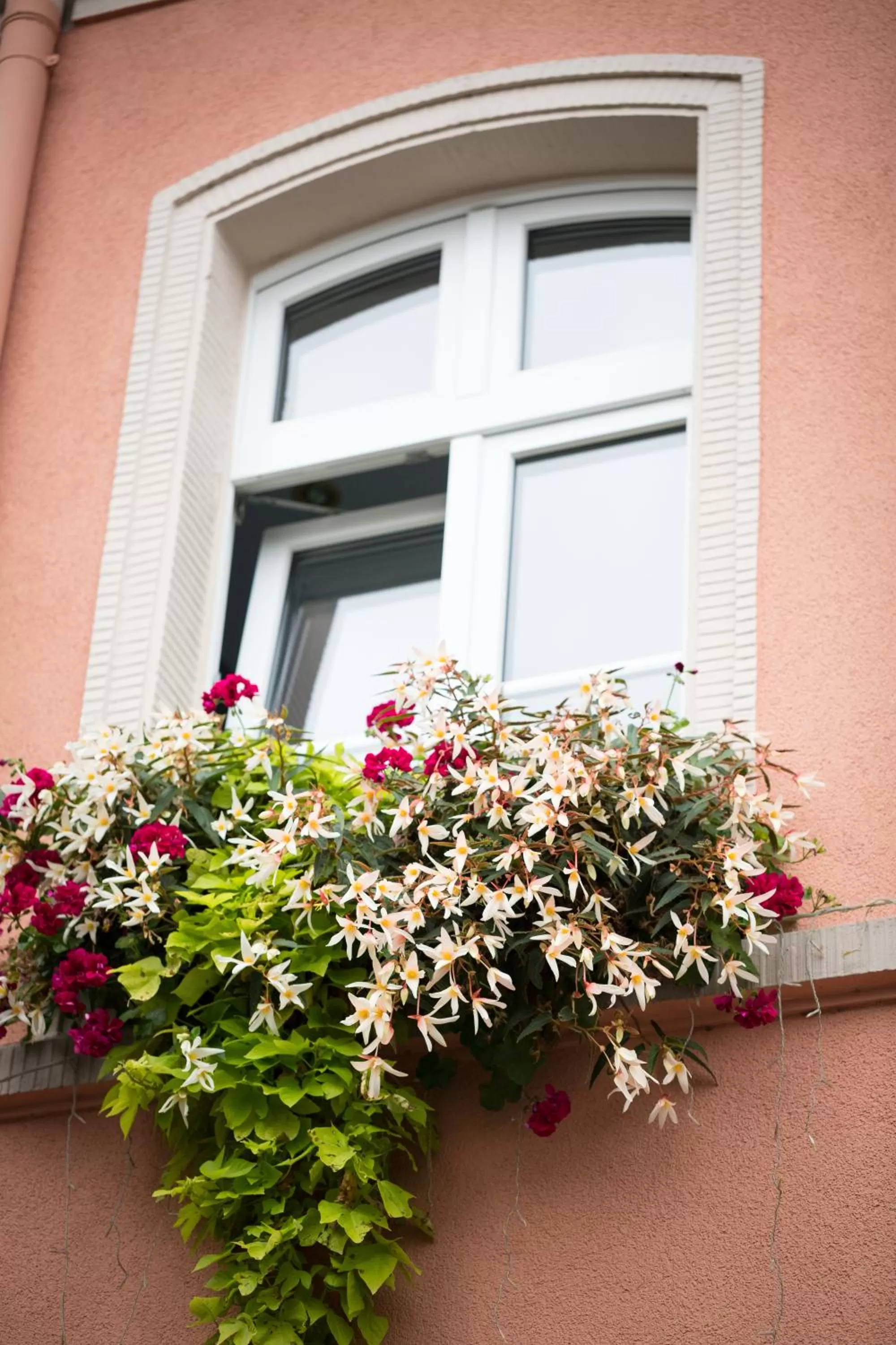 Property building in Hotel Alte Mark