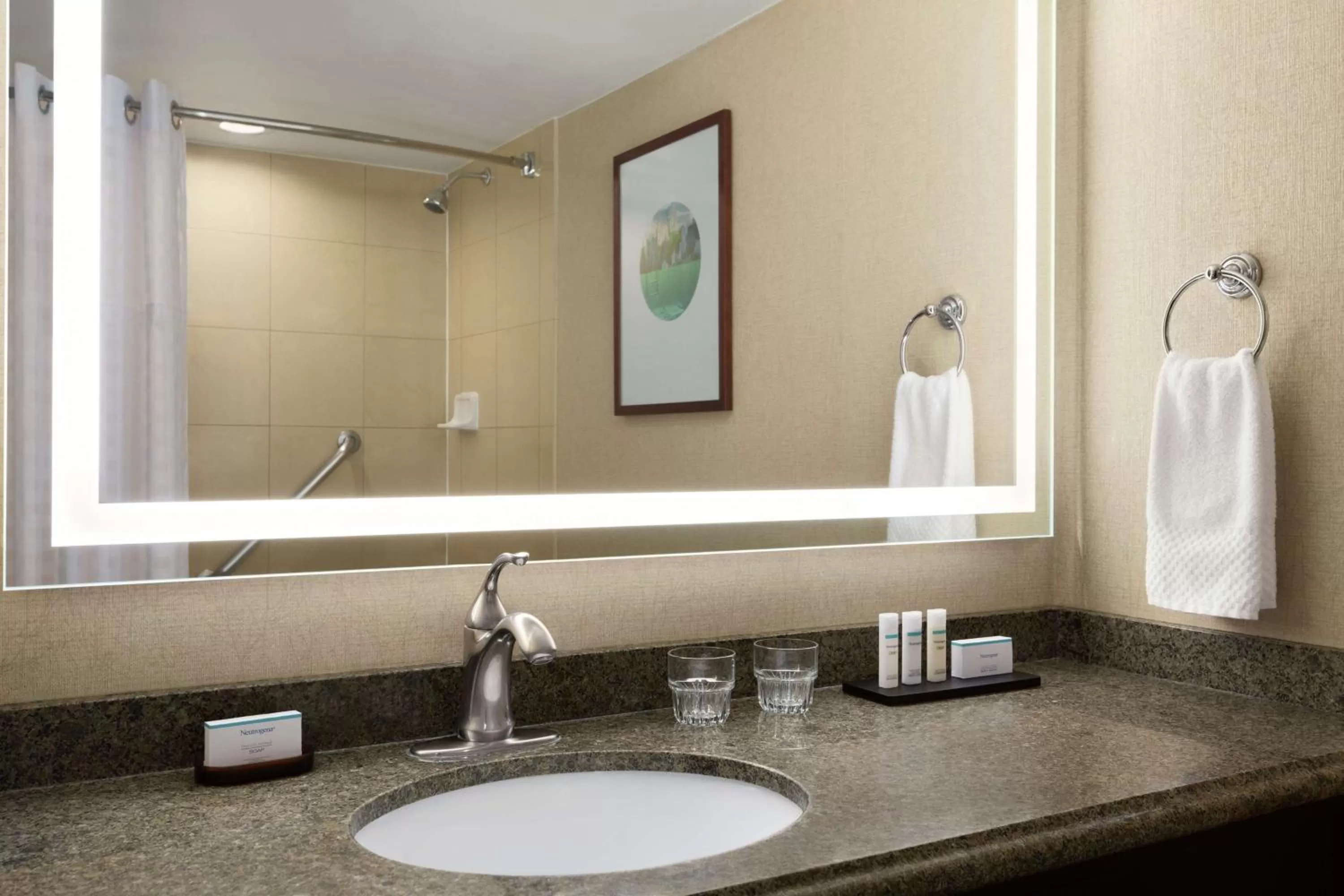 Bathroom in Embassy Suites by Hilton Phoenix Tempe