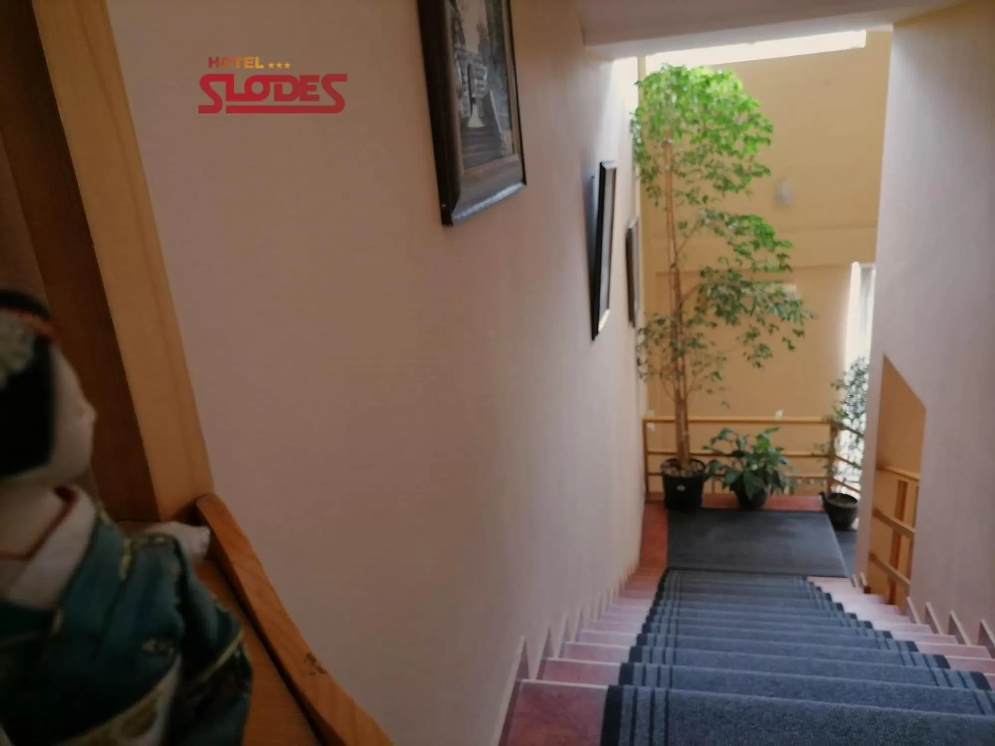 Property building, Bed in Hotel Slodes