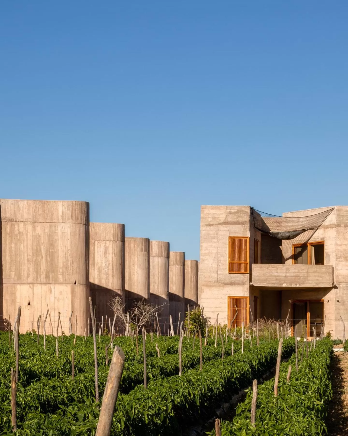 Paradero Todos Santos - Exclusive experiences included