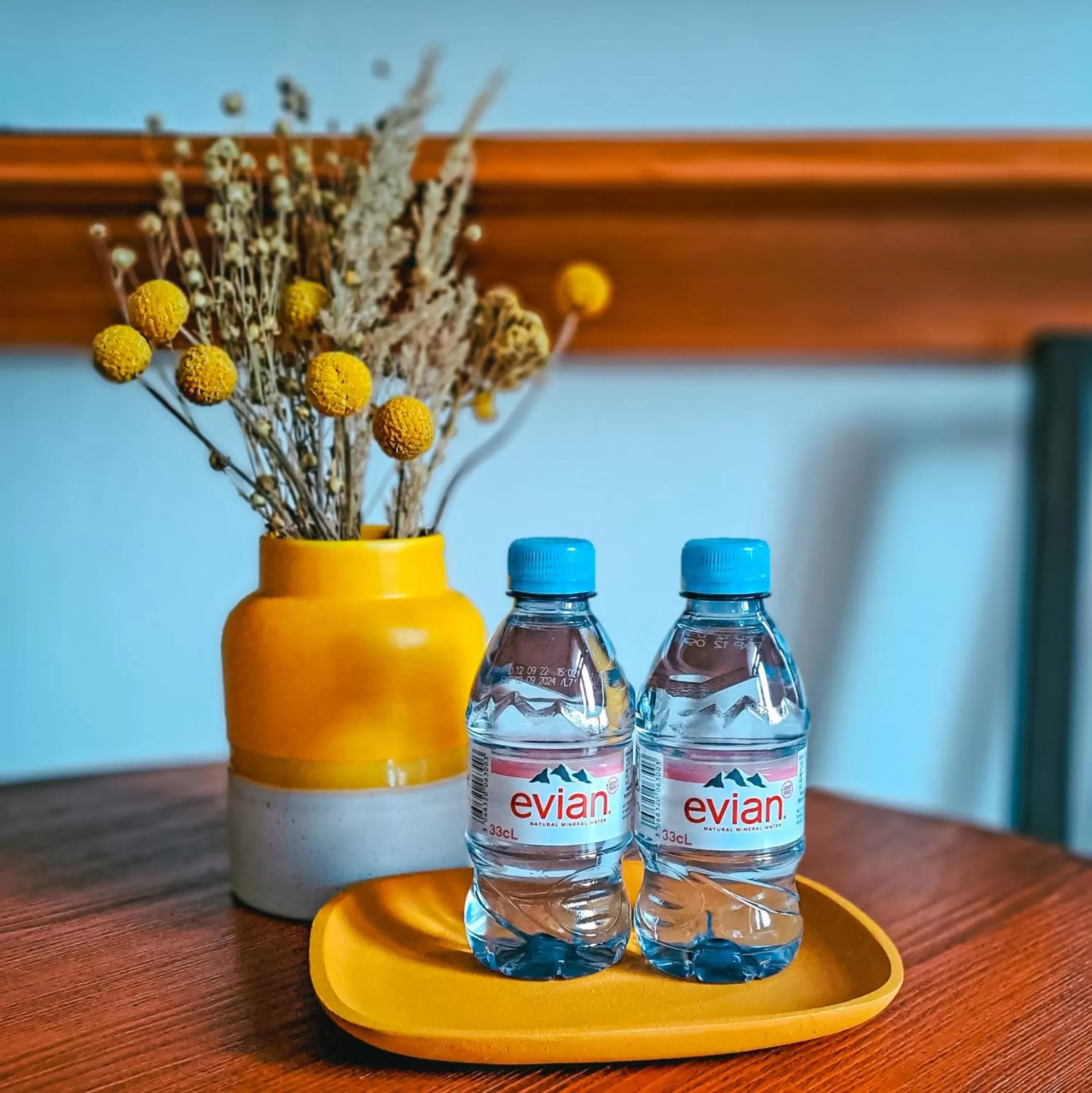 Non alcoholic drinks in Wellness Pension Ametyst