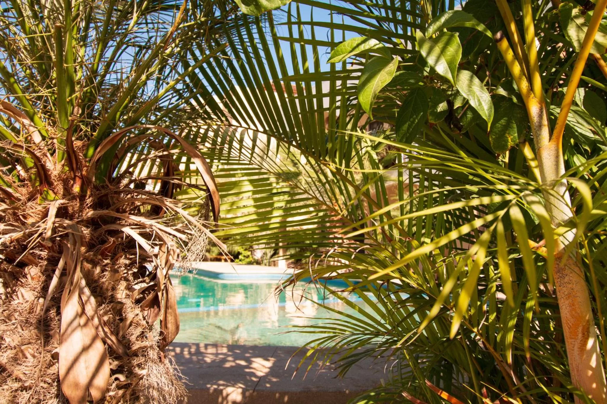 Swimming Pool in Olas de Cerritos