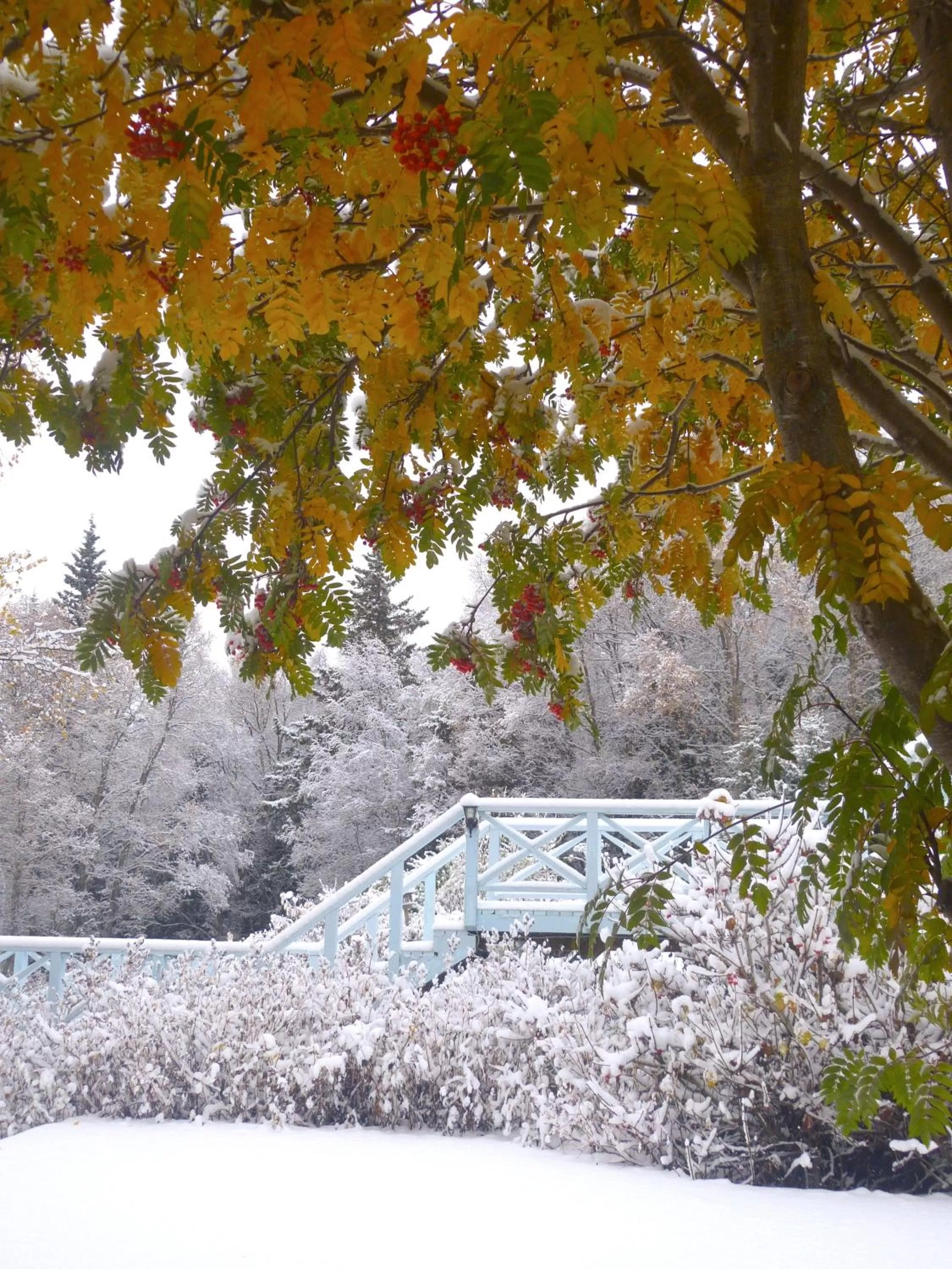 Garden in Halcyon Heights B&B/Inn