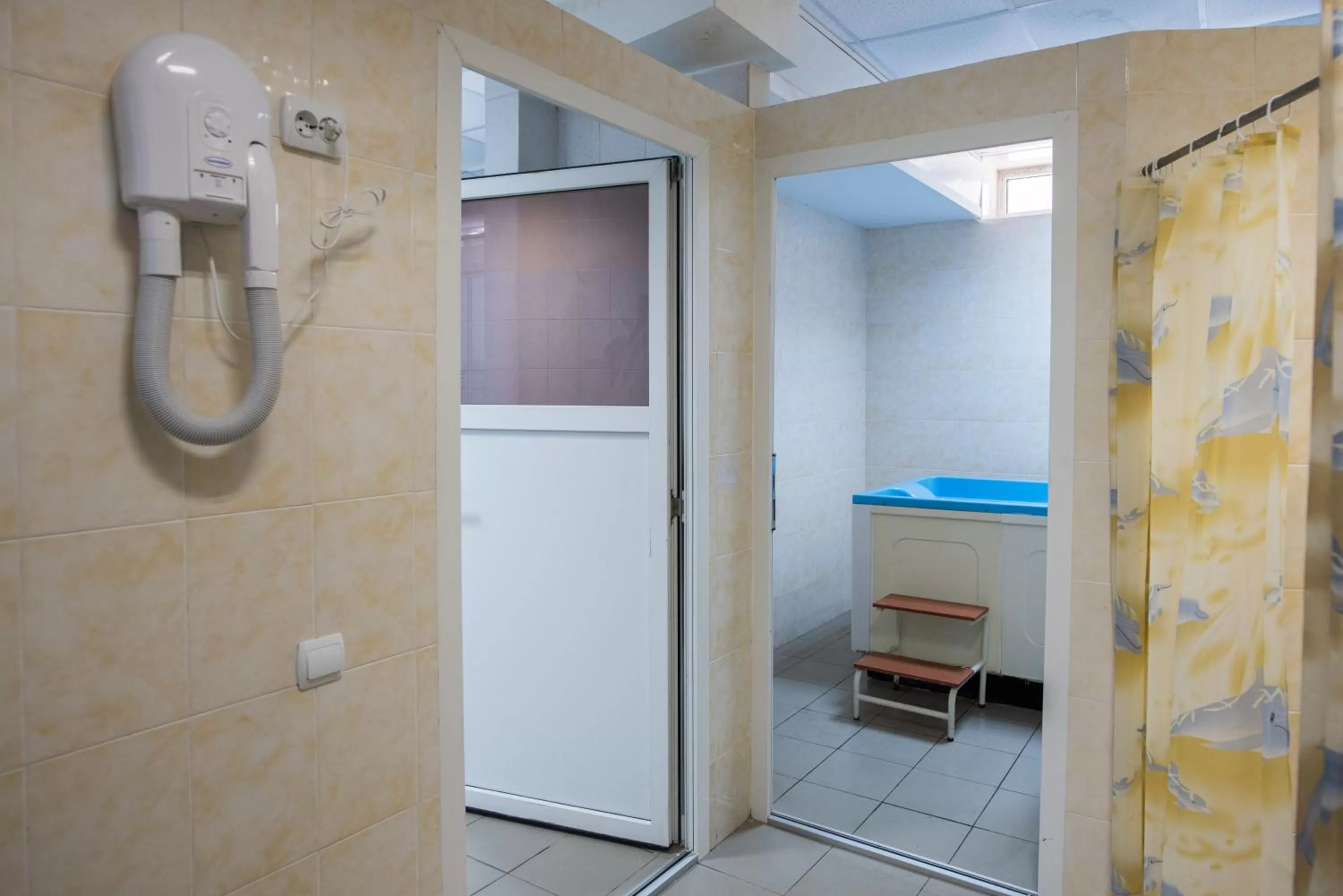 Spa and wellness centre/facilities in Zelenyy Bir