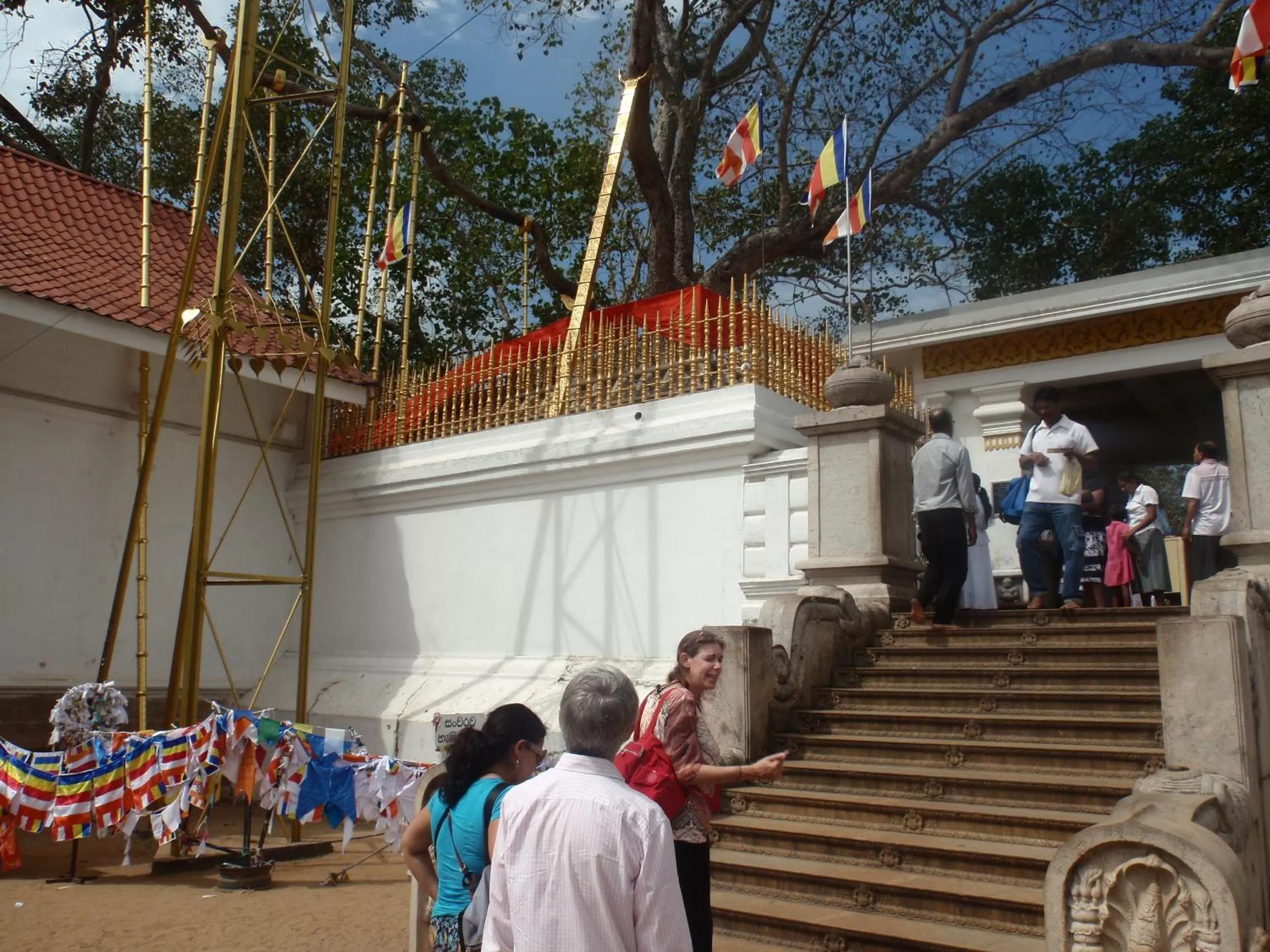 Other in Rockvilla homestay and BNB