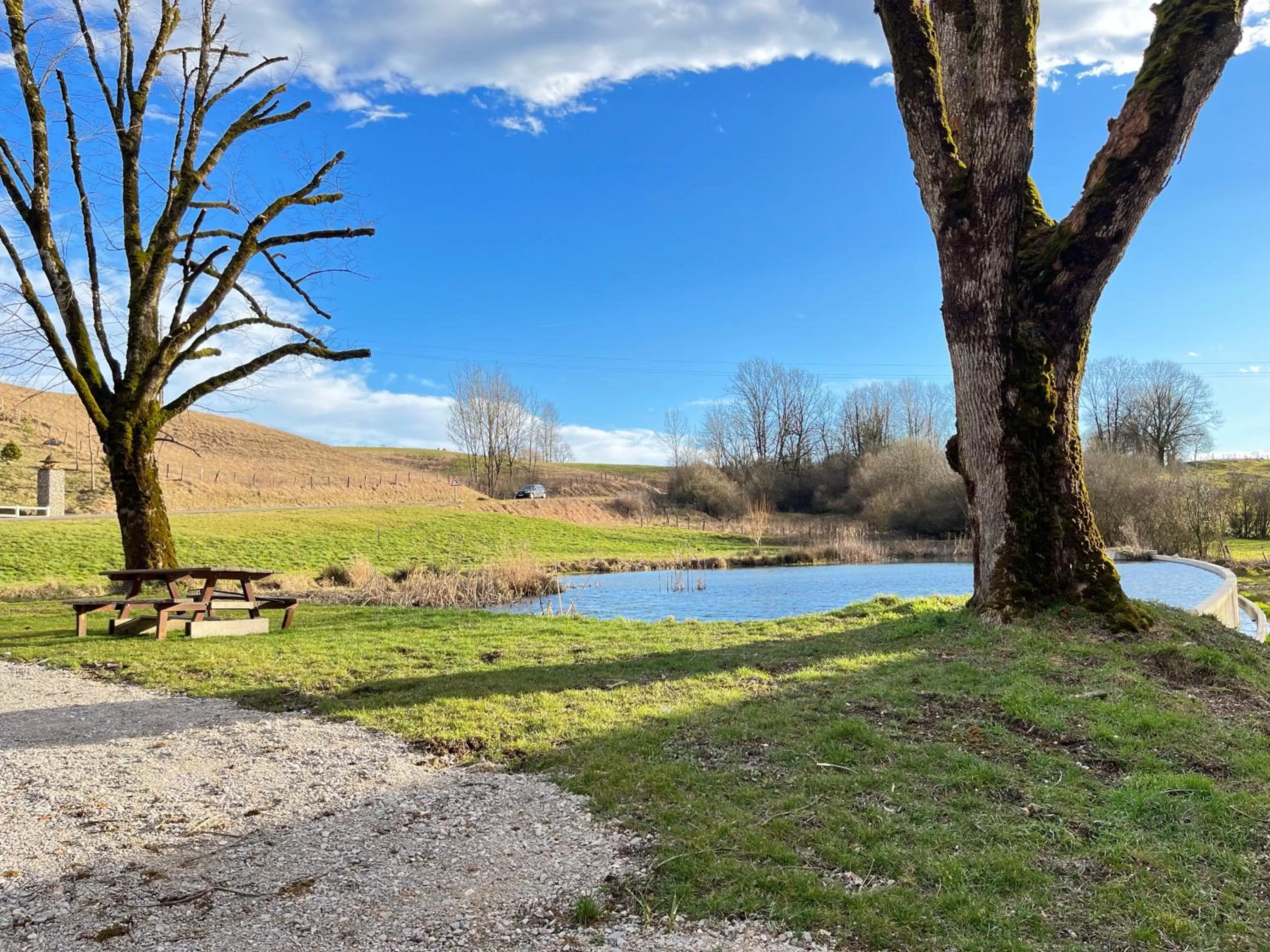 Garden view in Hôtel En Tilleul