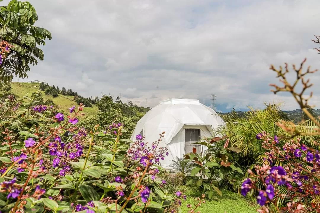 Garden, Property Building in Ecohotel Monte Tierra Habitaciones y Glamping