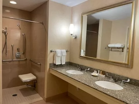 Shower in Southbridge Hotel and Conference Center