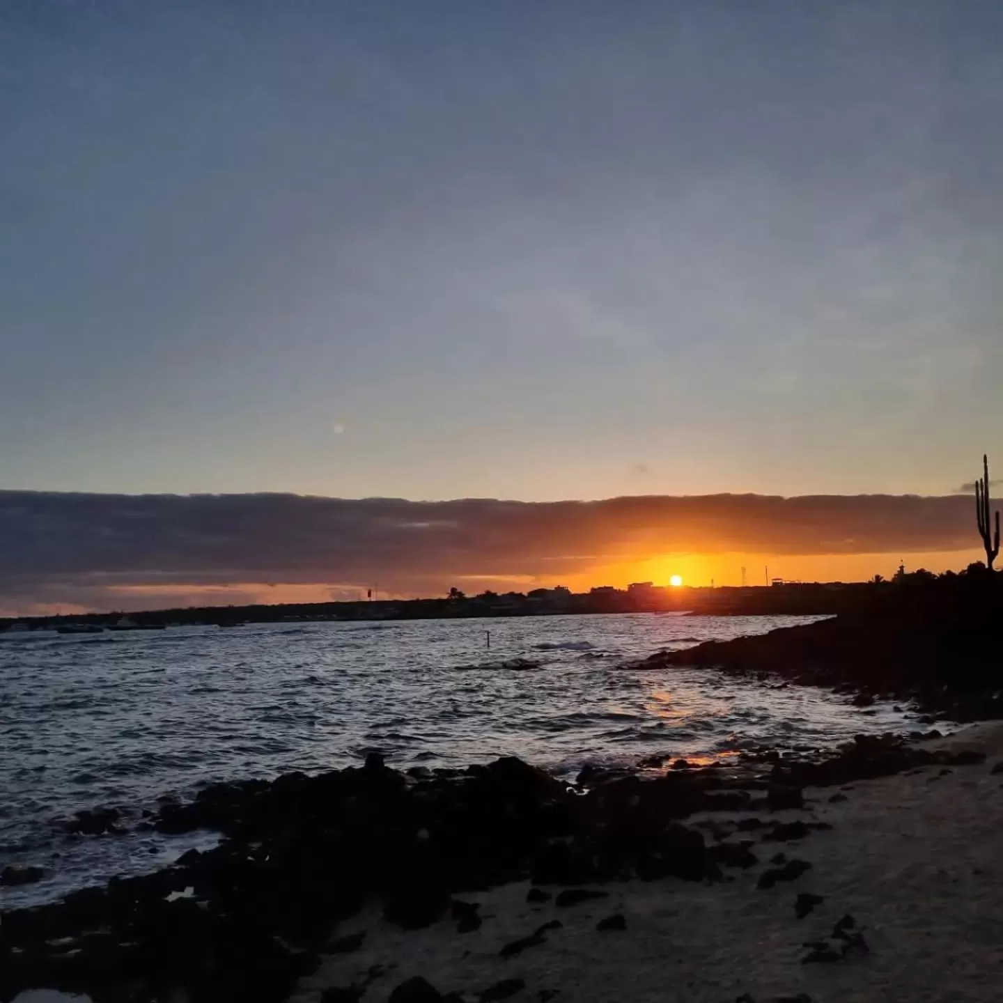 Beach in Patty House Galapagos