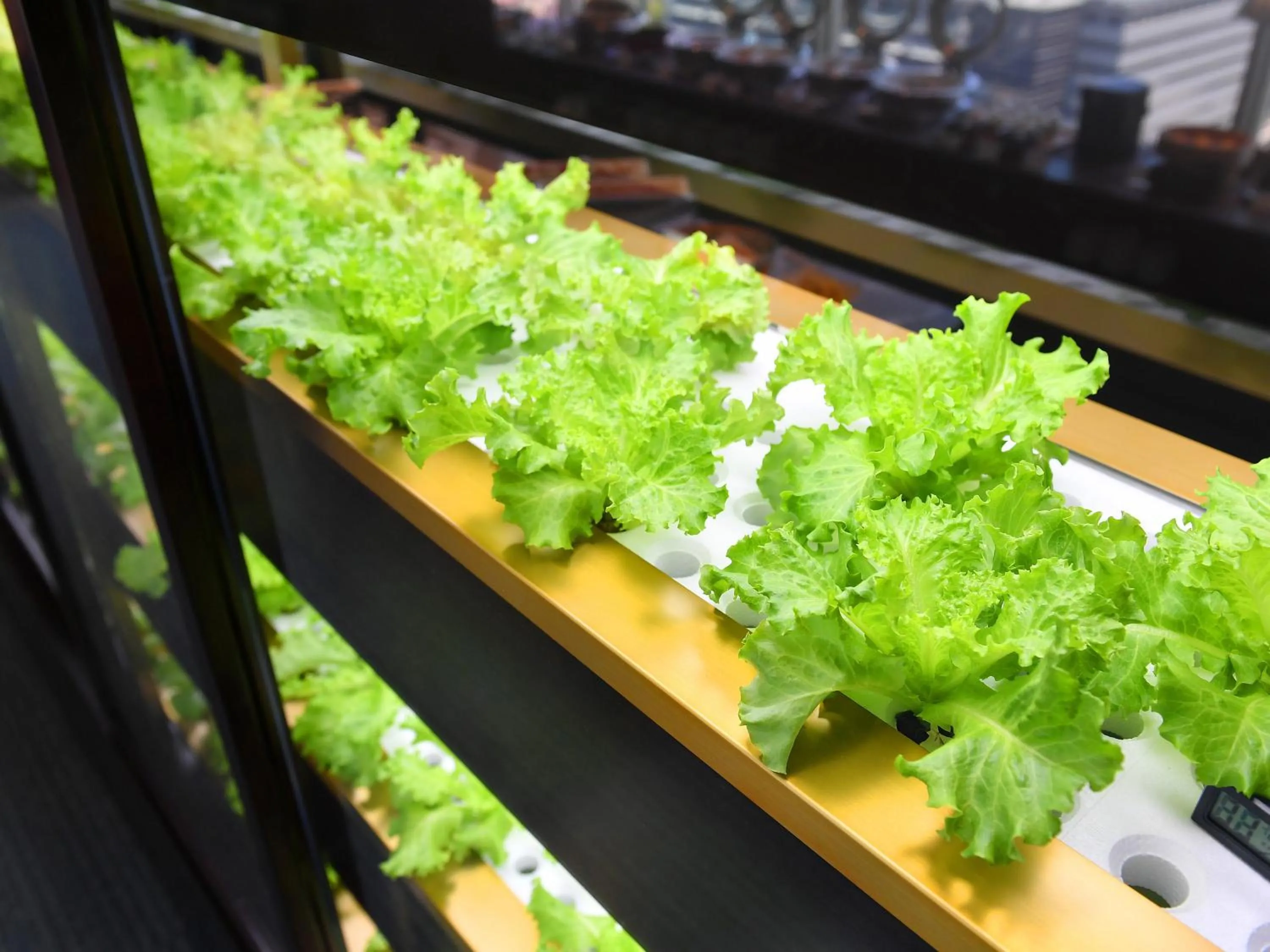 Breakfast in Hotel Plaza Kobe