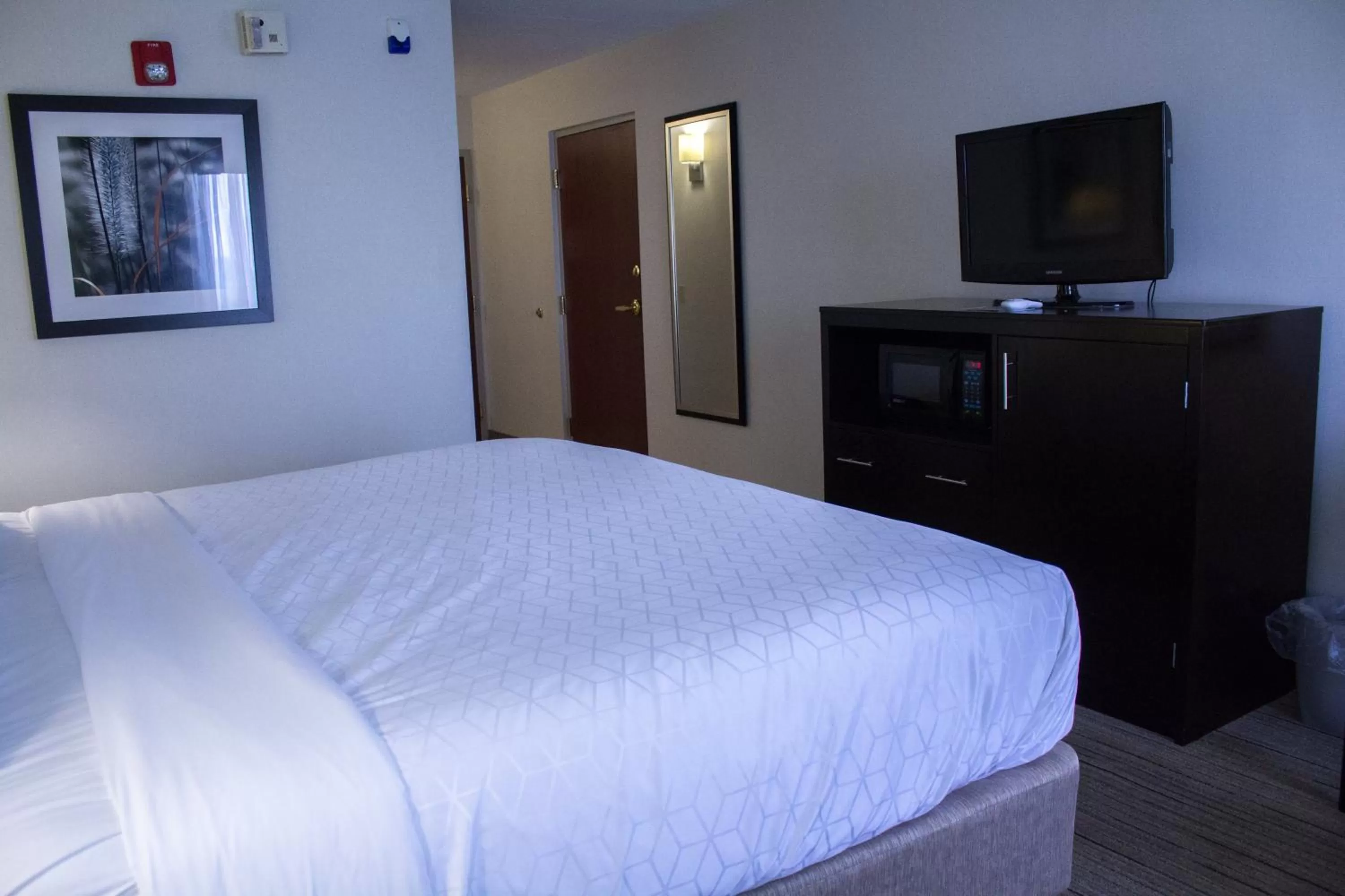 Photo of the whole room, Bed in Holiday Inn Express and Suites Pittsburgh West Mifflin by IHG
