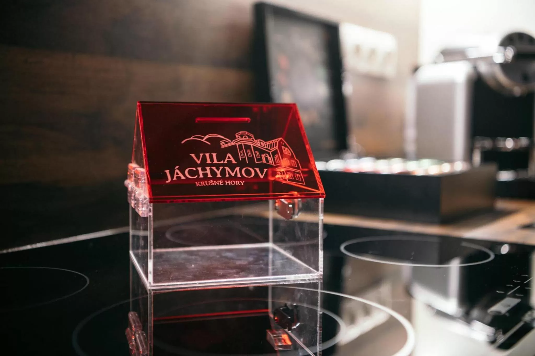 Communal lounge/ TV room in Vila Jáchymov