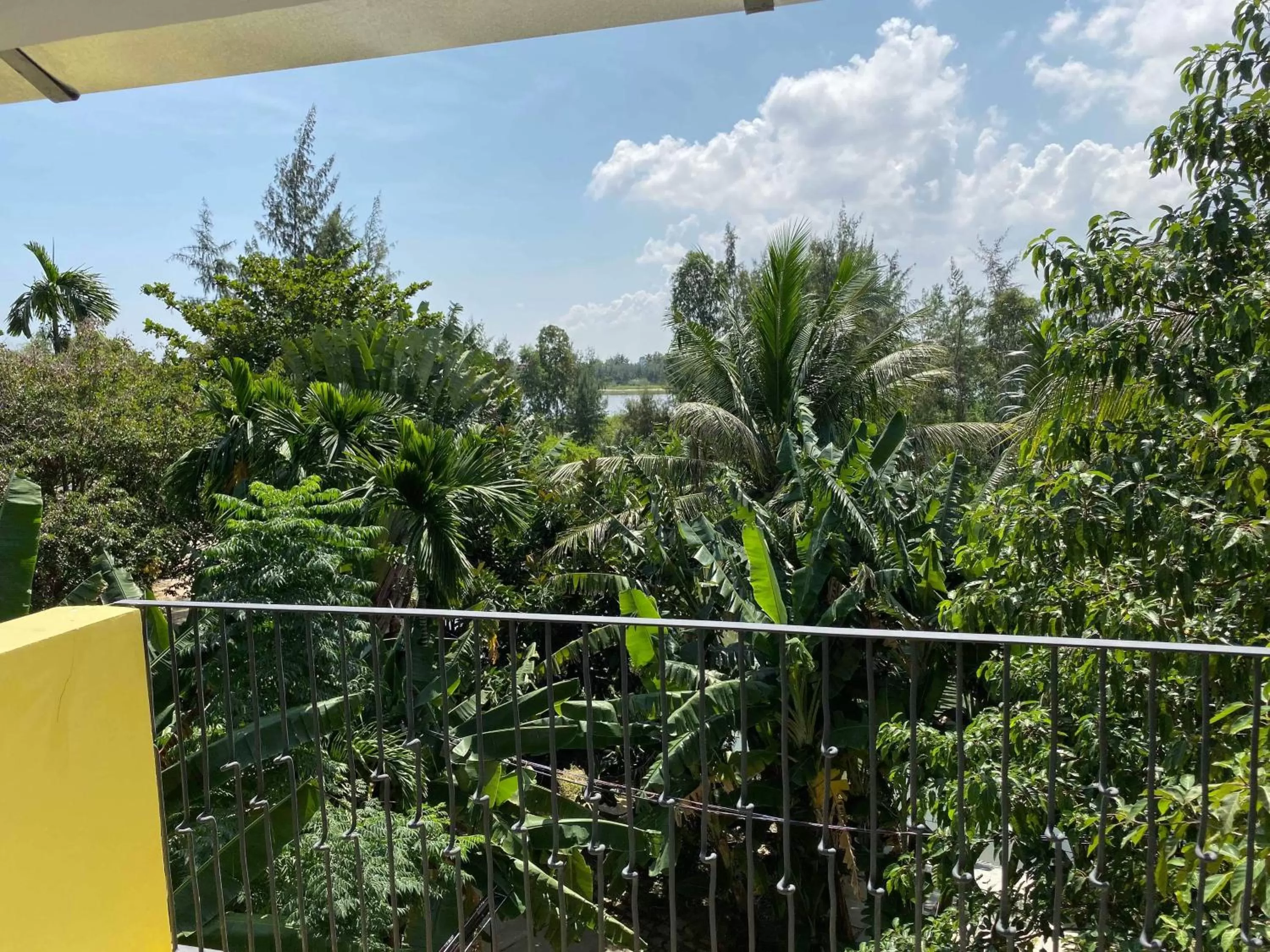 River view in Pink Tulip Hoi An