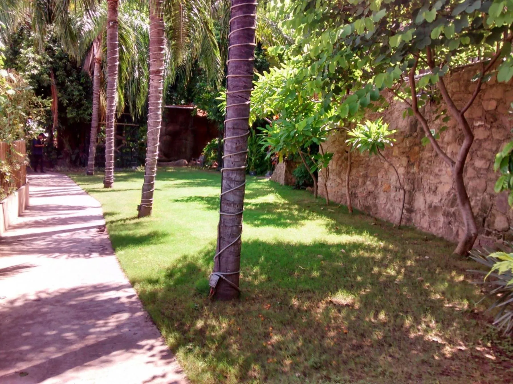 Garden in Hotel San Luis Lindavista
