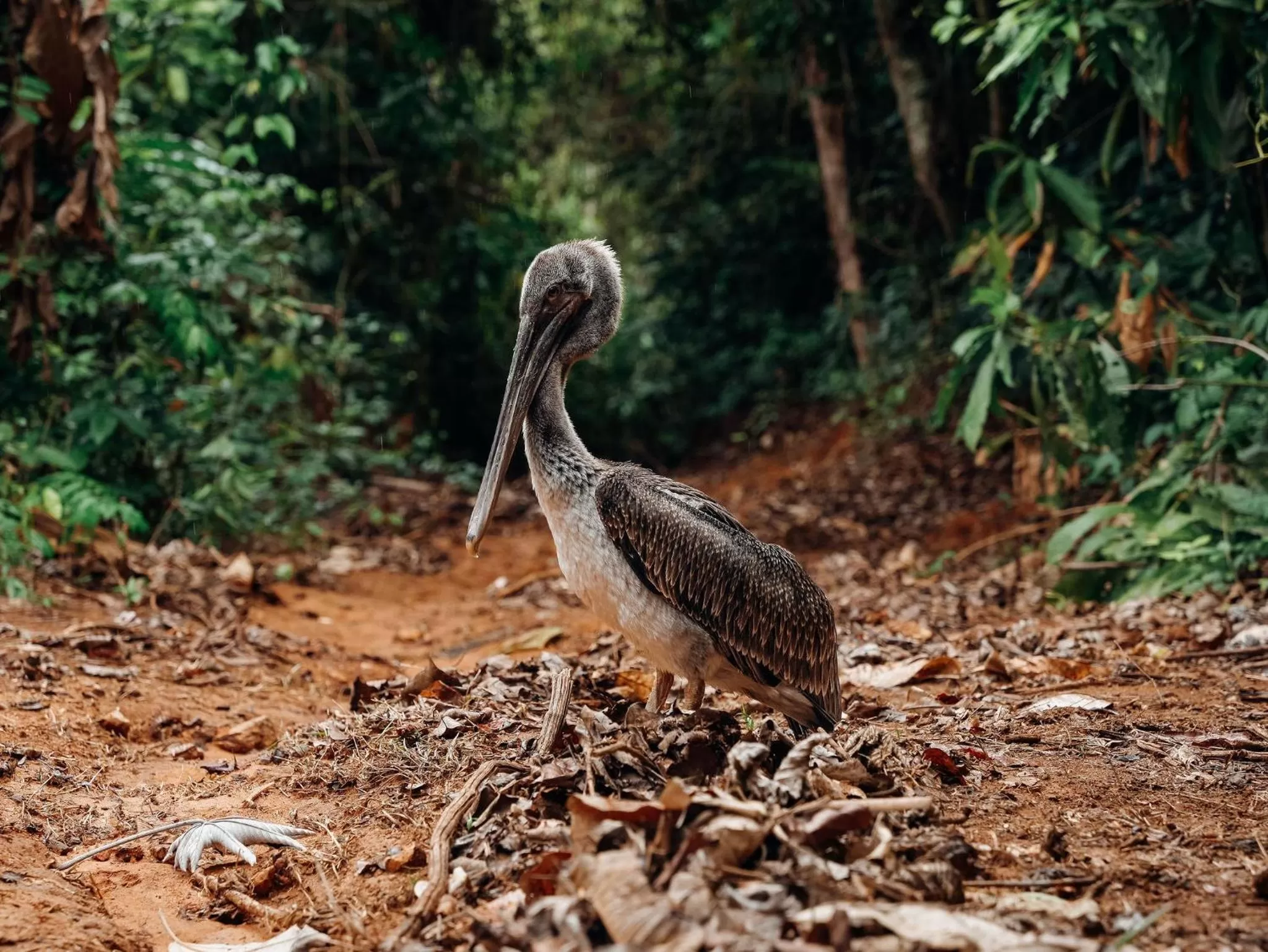 Natural landscape in Saboga Lodge