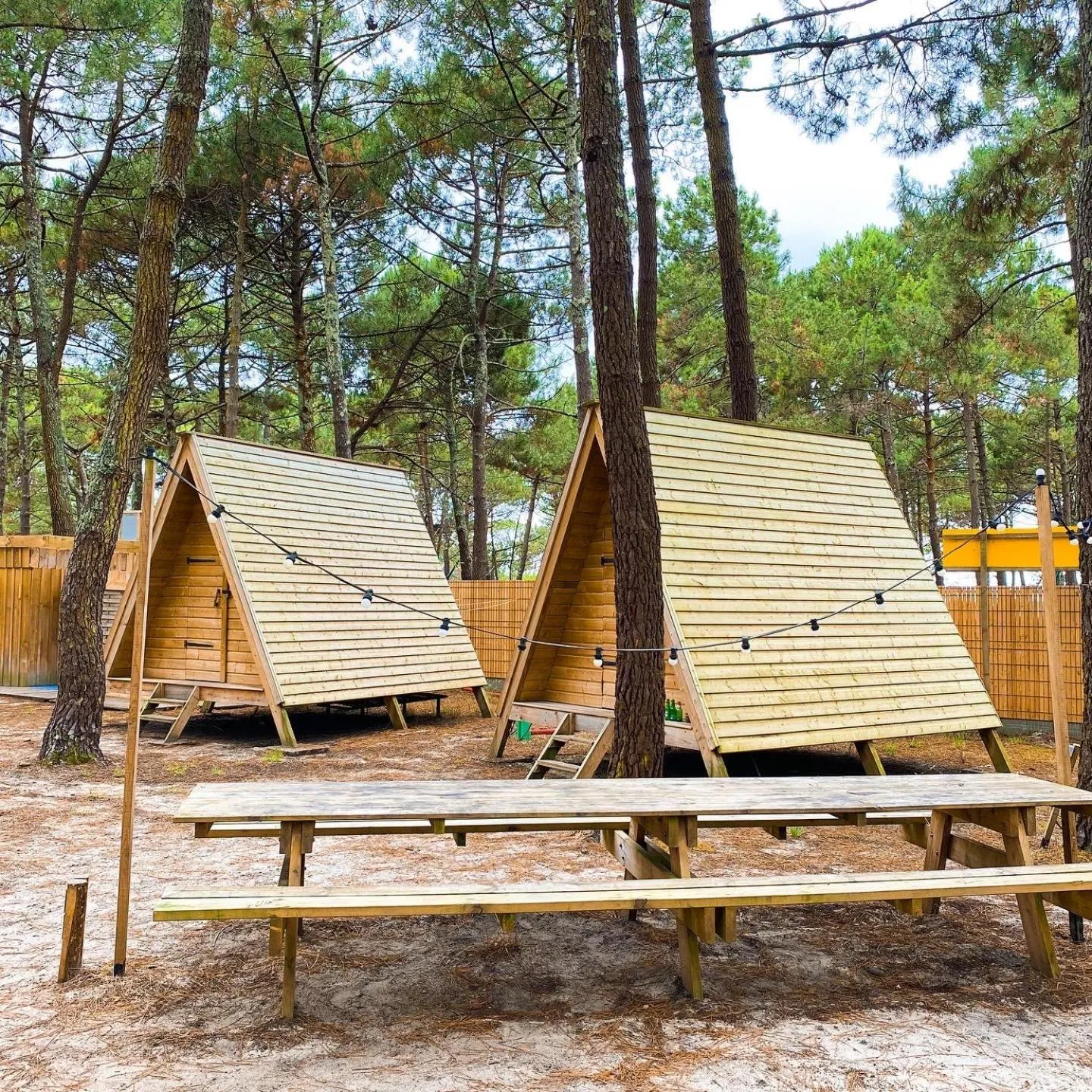 Day in Hoya Surf Camp - Activités + logements