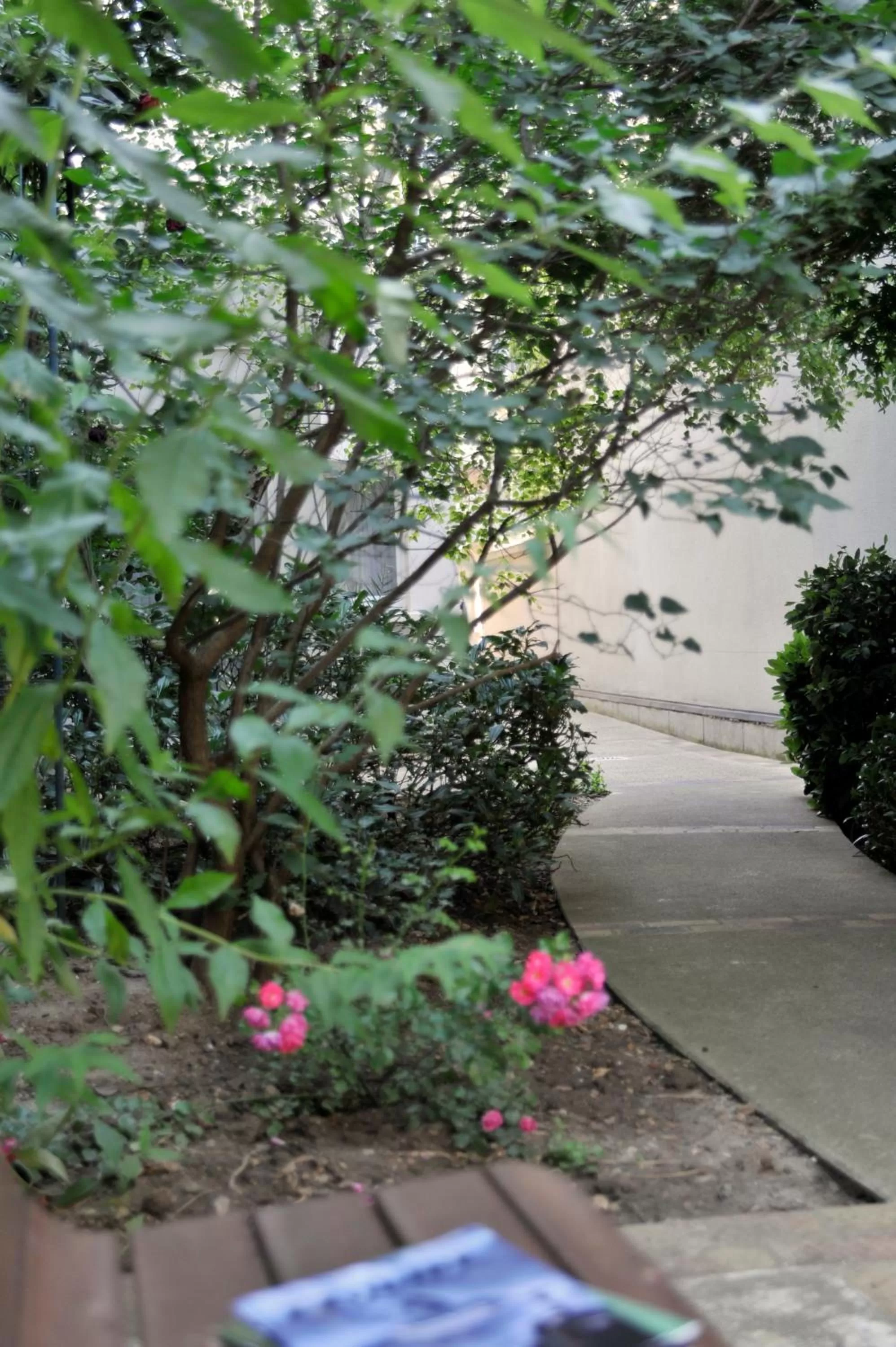 Garden in HOTEL DE PARIS MONTPARNASSE