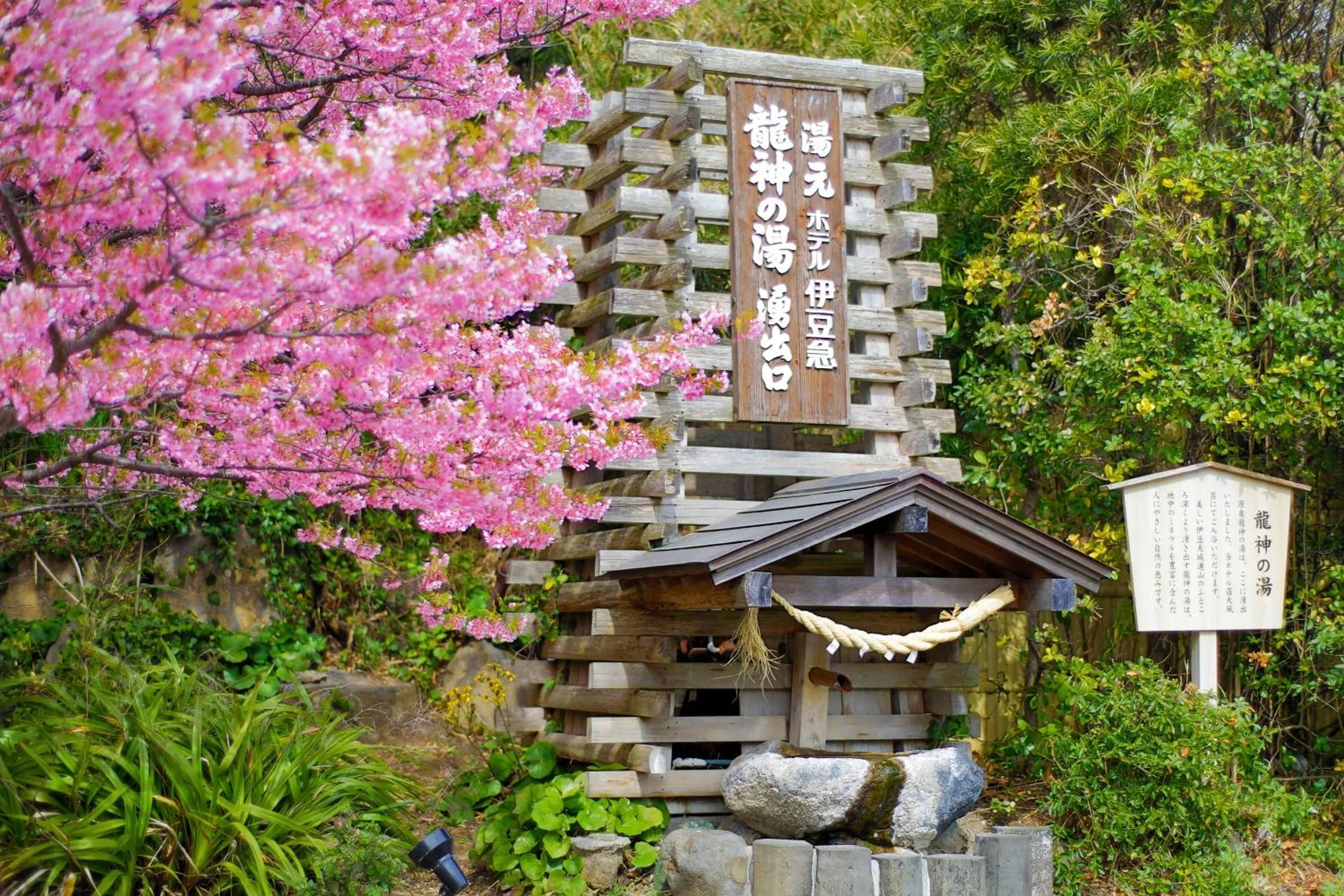 On site in Hotel Izukyu