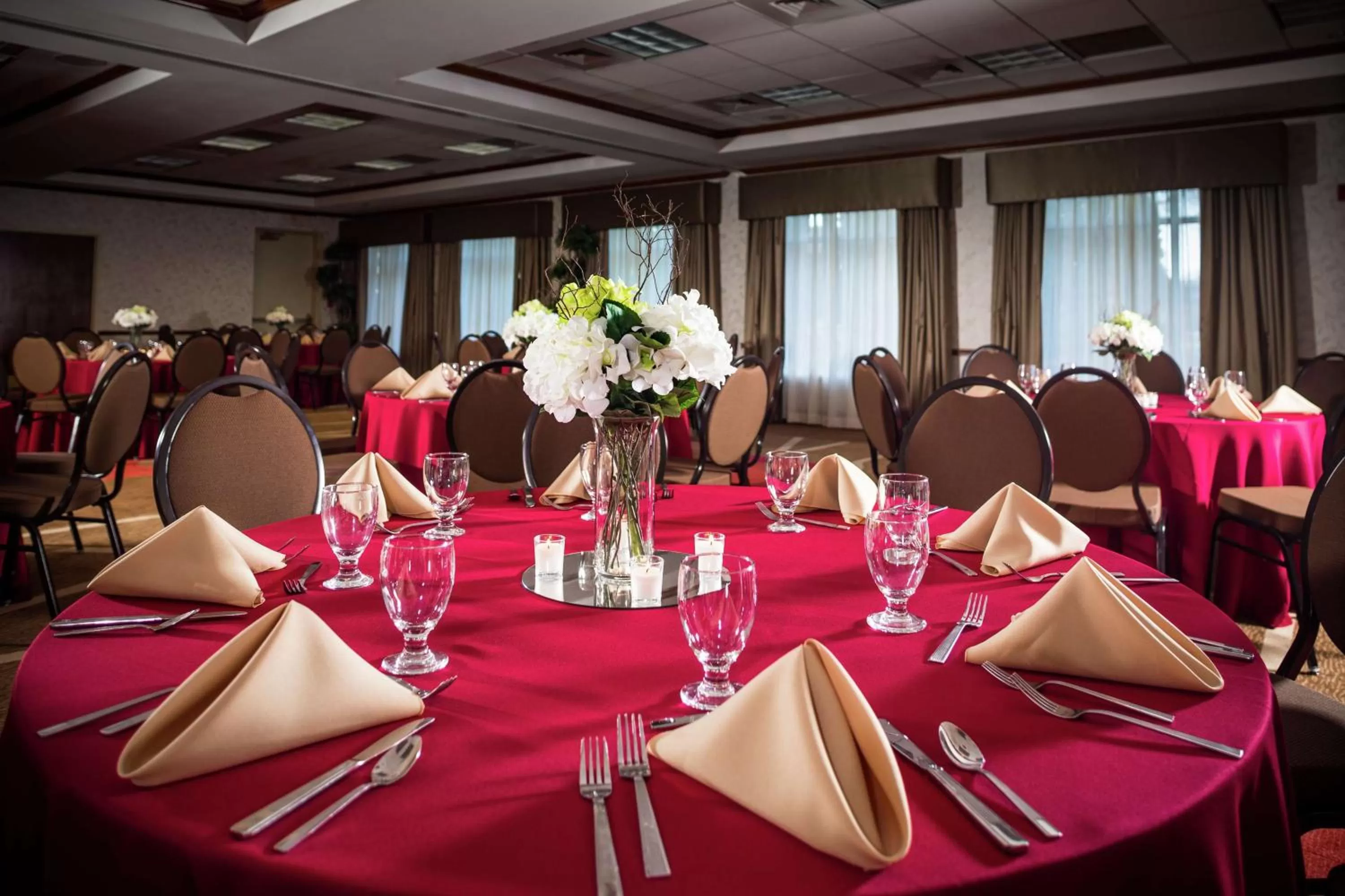 Meeting/conference room in Hilton Garden Inn Richmond Innsbrook
