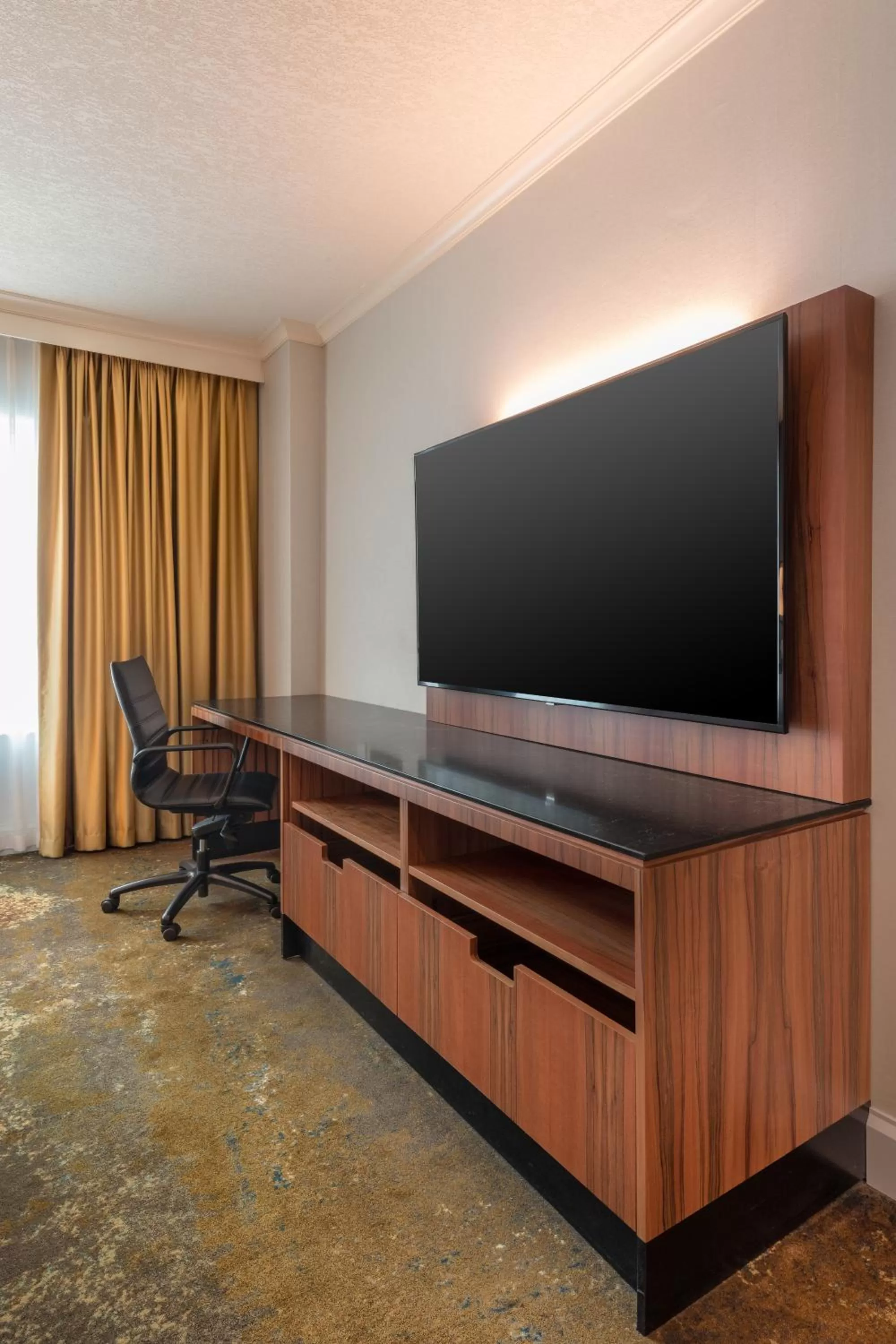TV and multimedia in Hyatt Regency Calgary