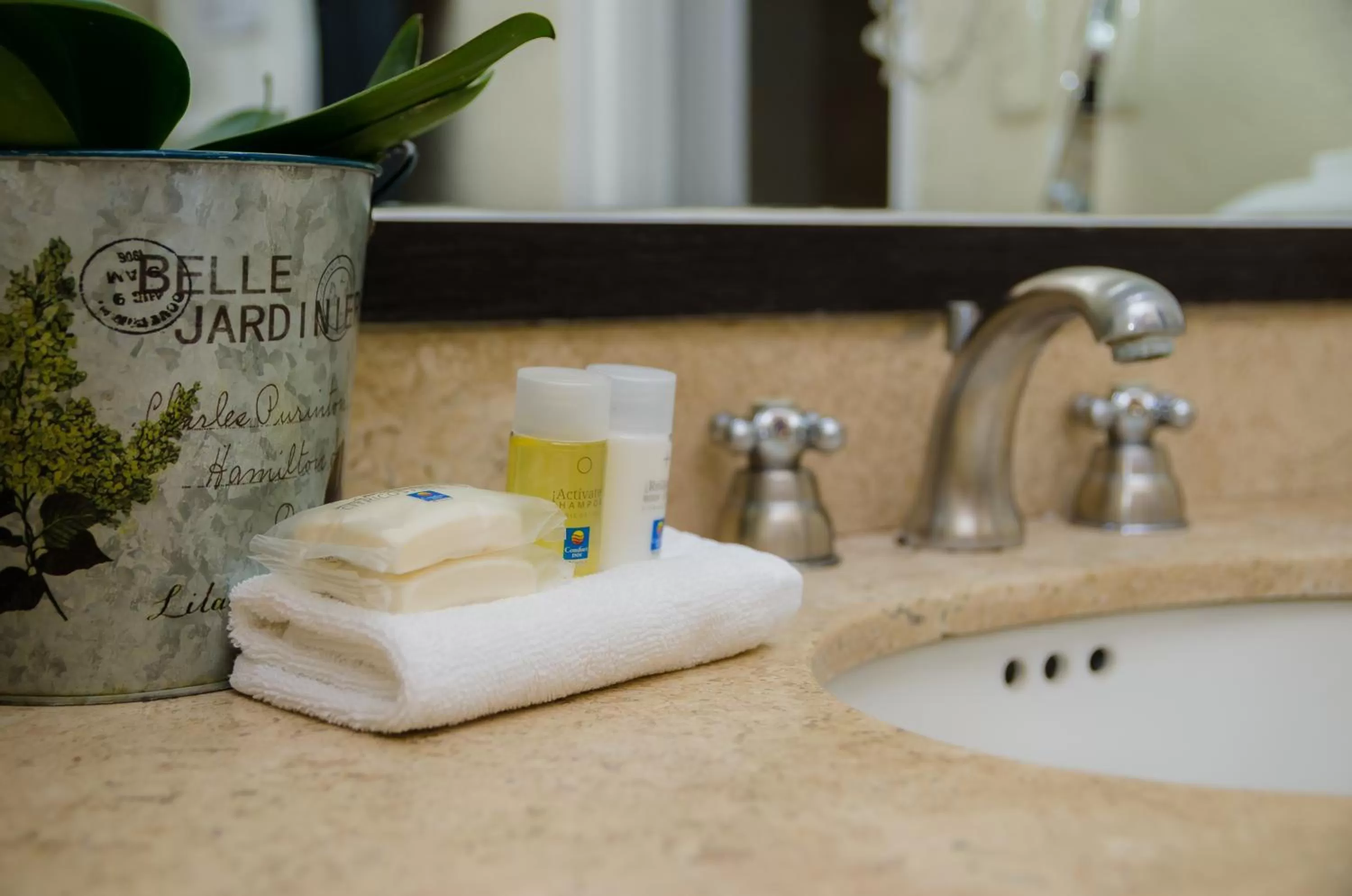 Bathroom in Comfort Inn Cordoba