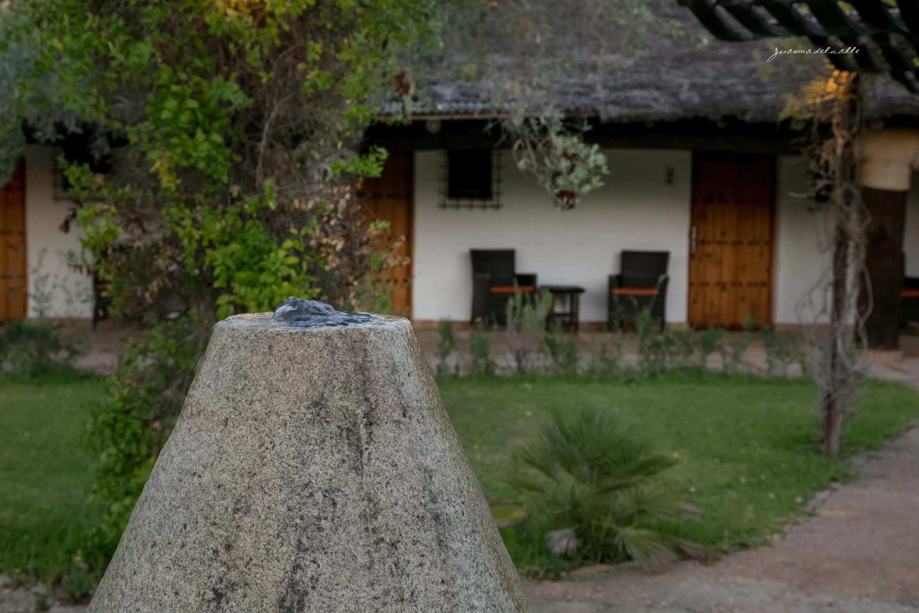 Off site in Ardea Purpurea