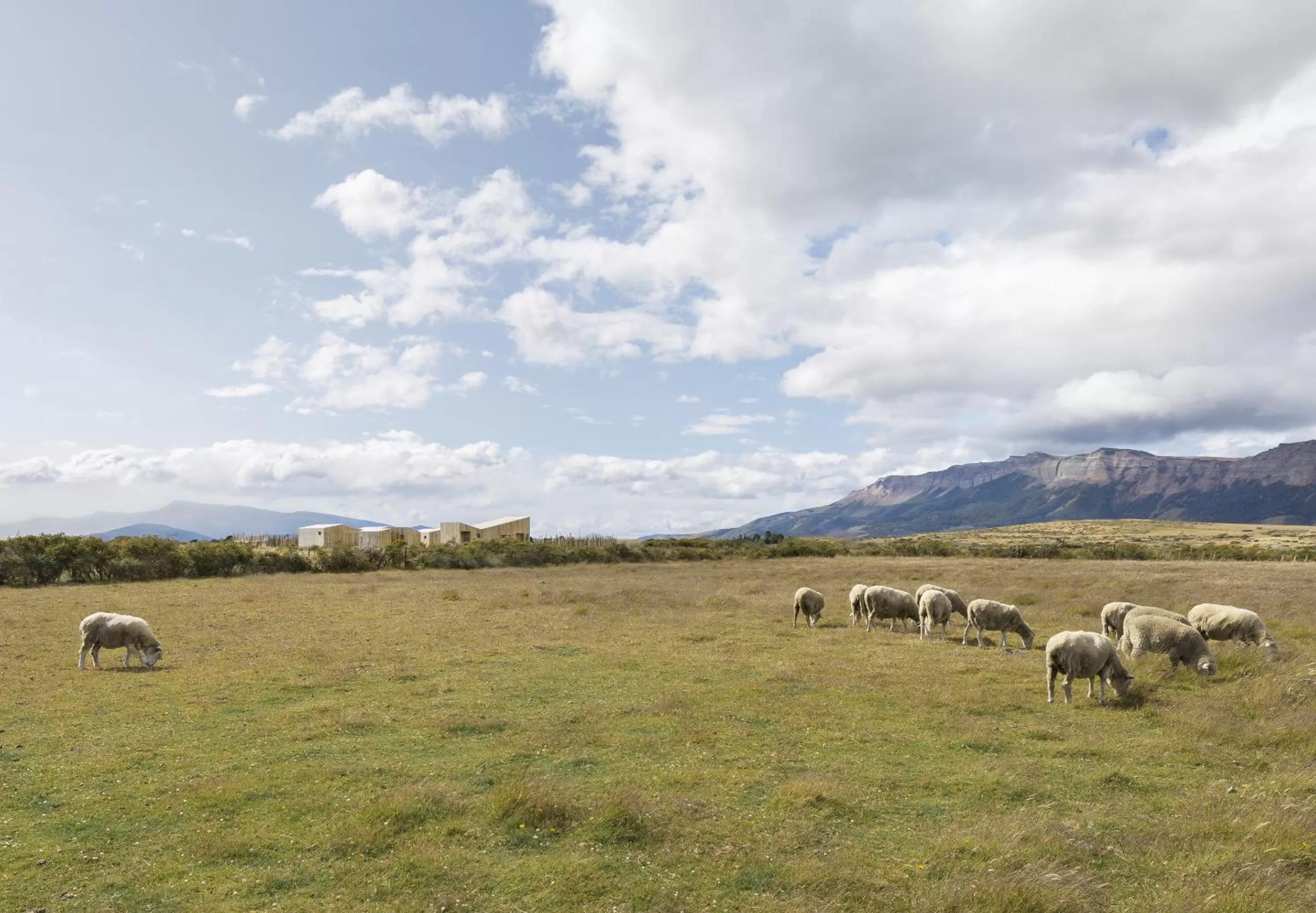 Natural landscape, Other Animals in AKA Patagonia