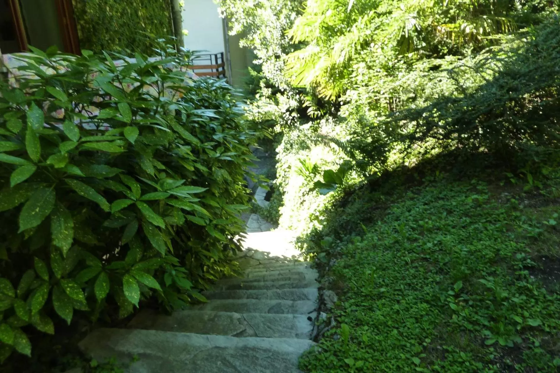 Garden in B&B Le Ortensie -Lago di Como