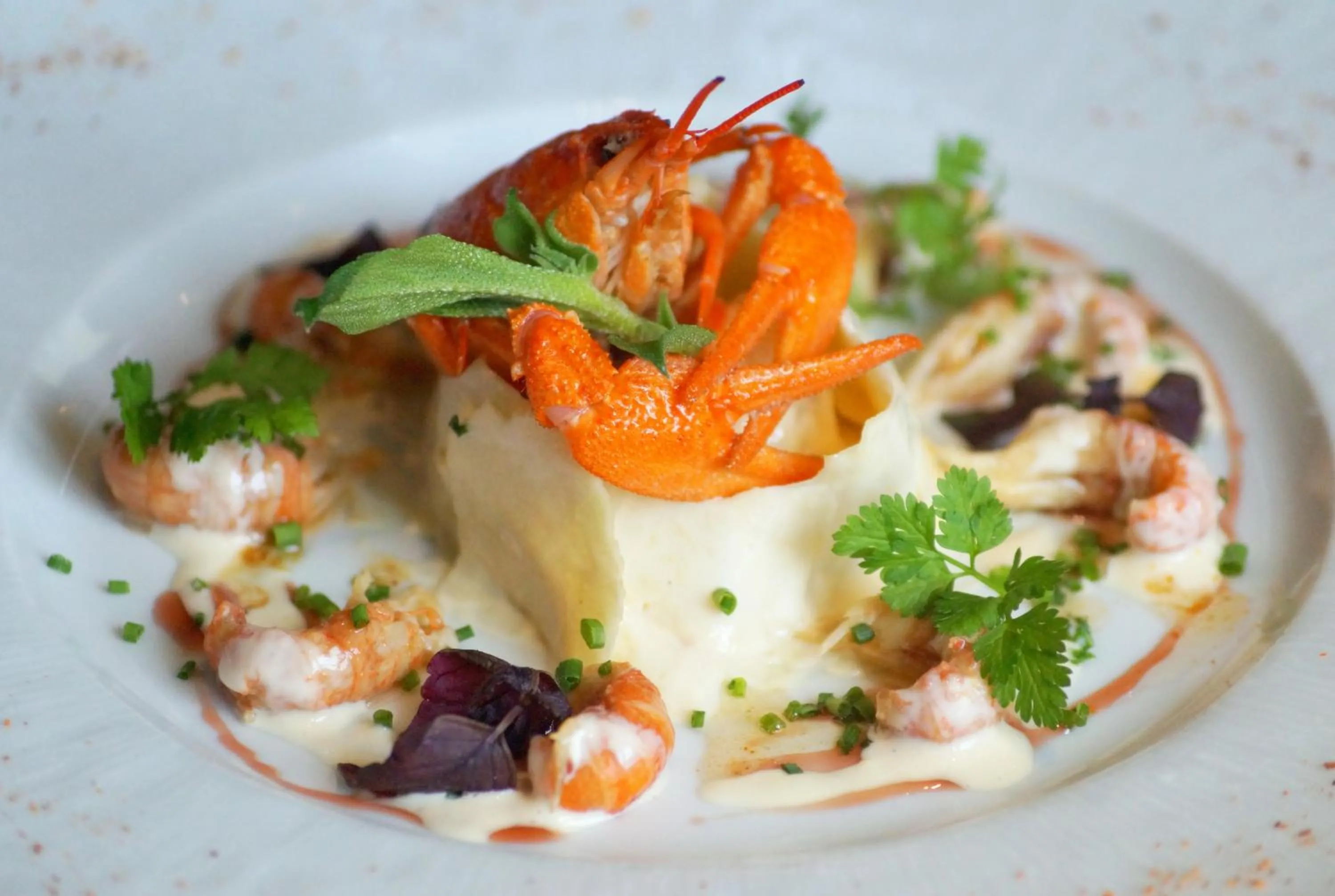 Food close-up in Logis Hostellerie des Clos et restaurant Bistrot des grands crus et Maison de la tour Chablis