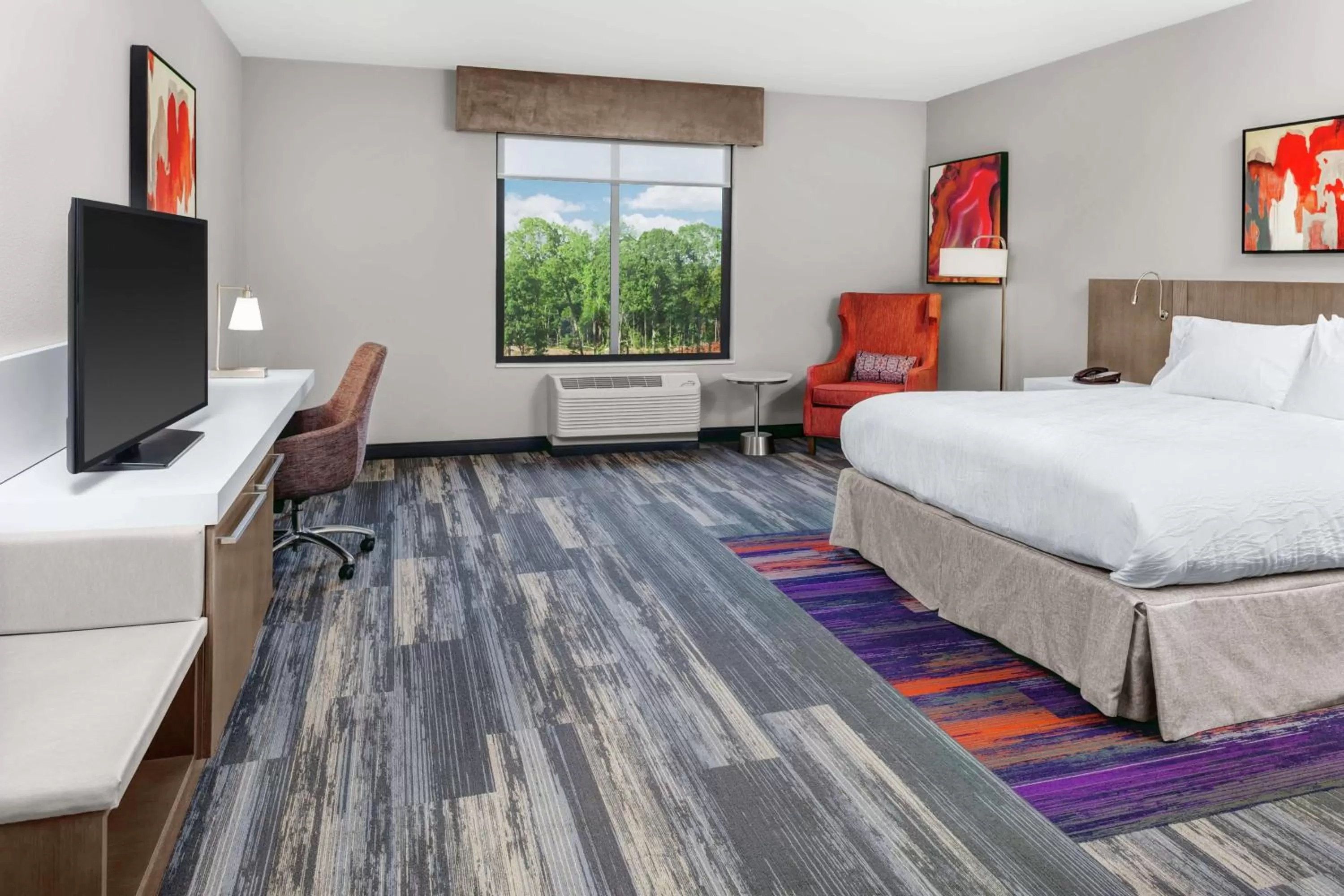 King Room with Bath Tub - Mobility Accessible/Non-Smoking in Hilton Garden Inn Charlotte Waverly