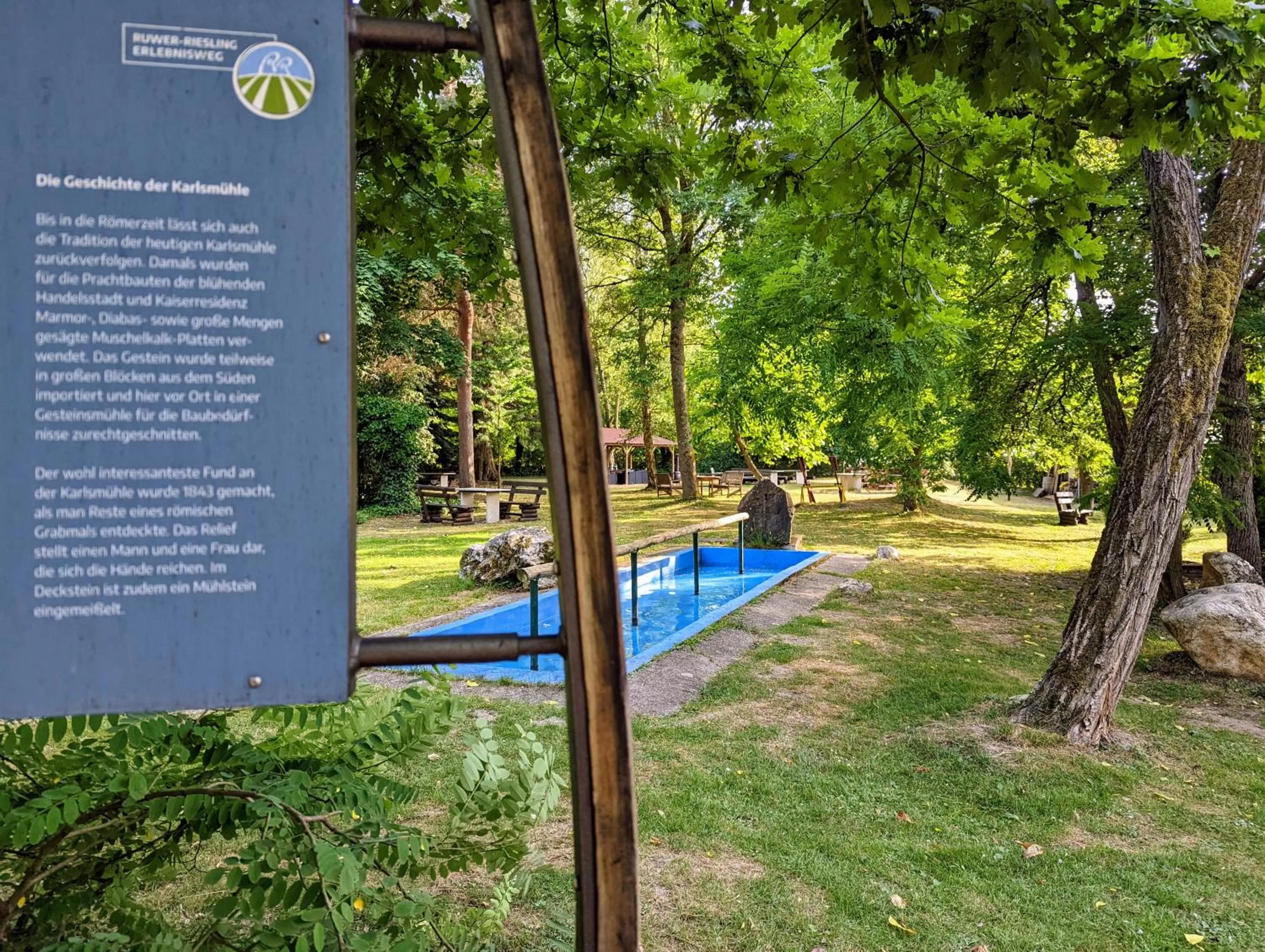 Swimming pool in Hotel und Weingut Karlsmühle