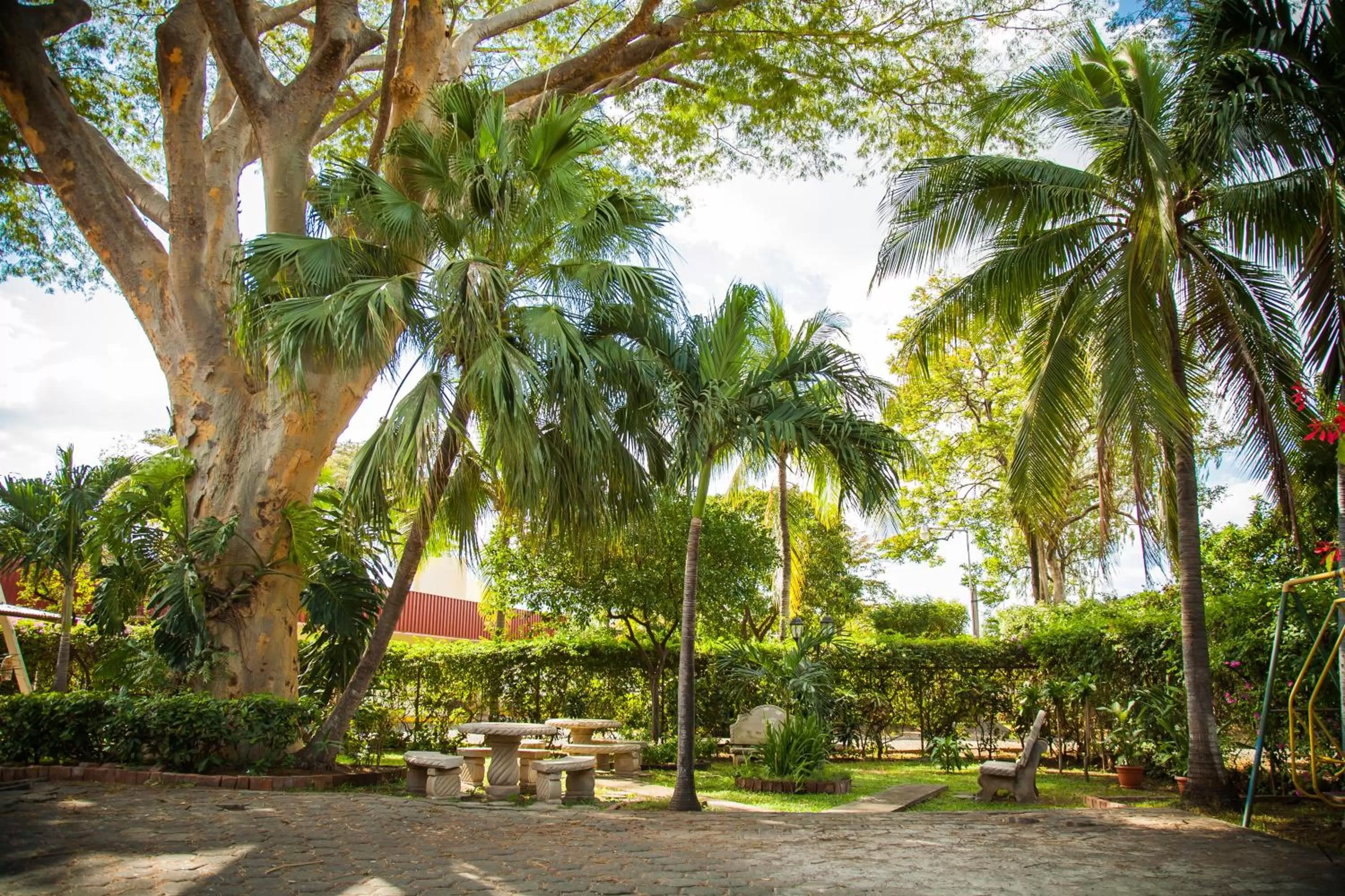 Patio, Patio/Outdoor Area in Hotel Estrella