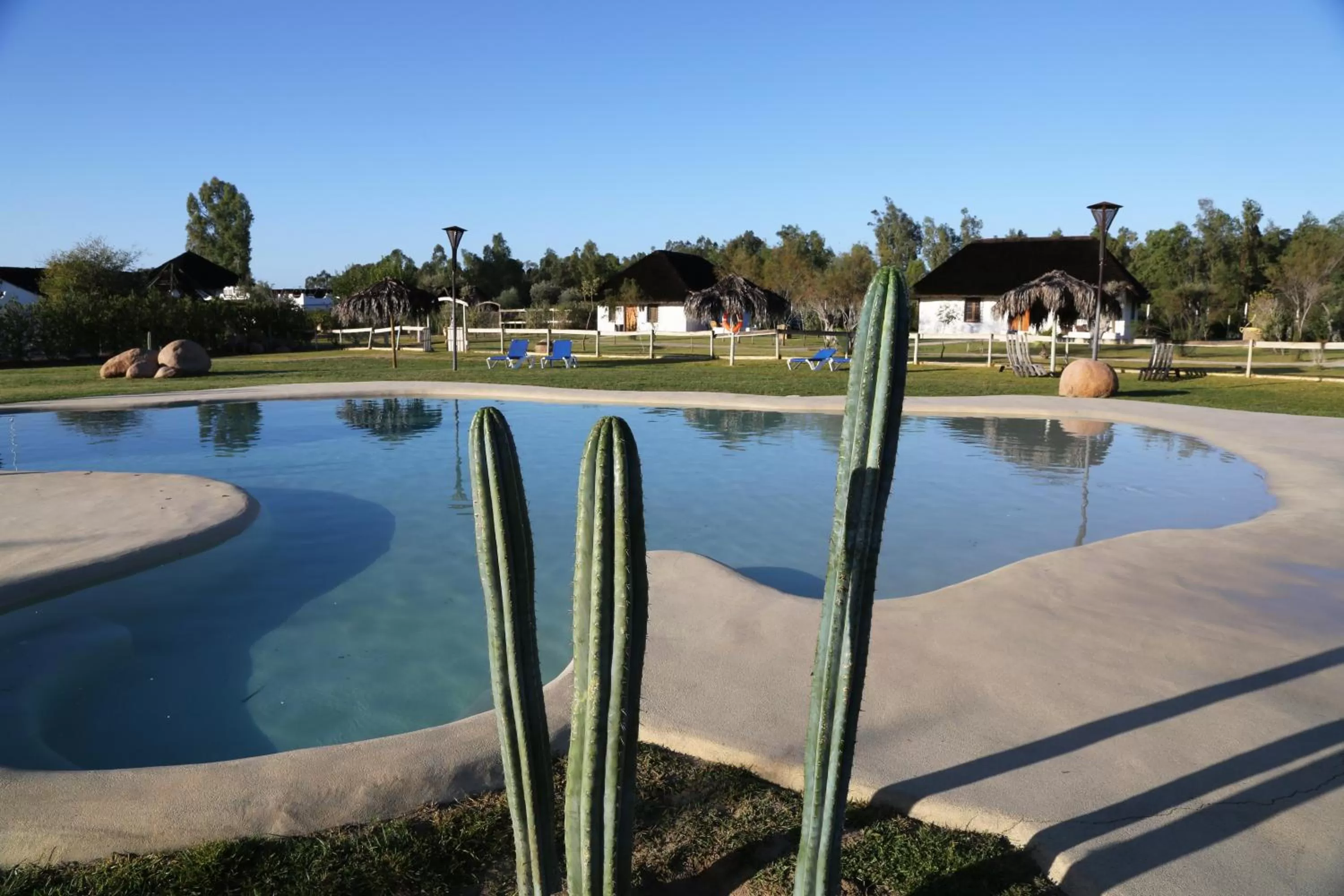 Swimming pool in Ardea Purpurea