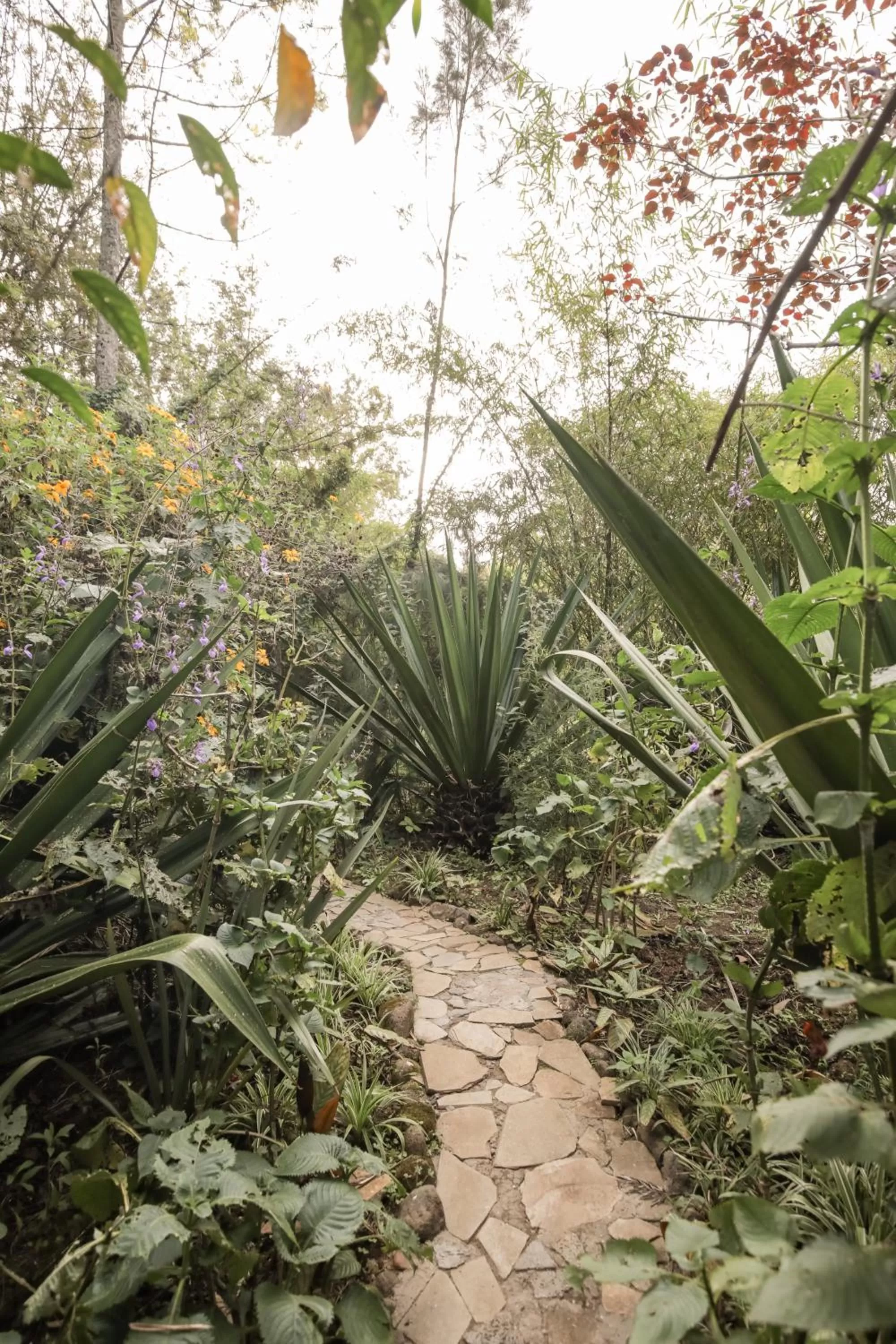 Natural landscape, Garden in Fravan Eco Resort By Apogee