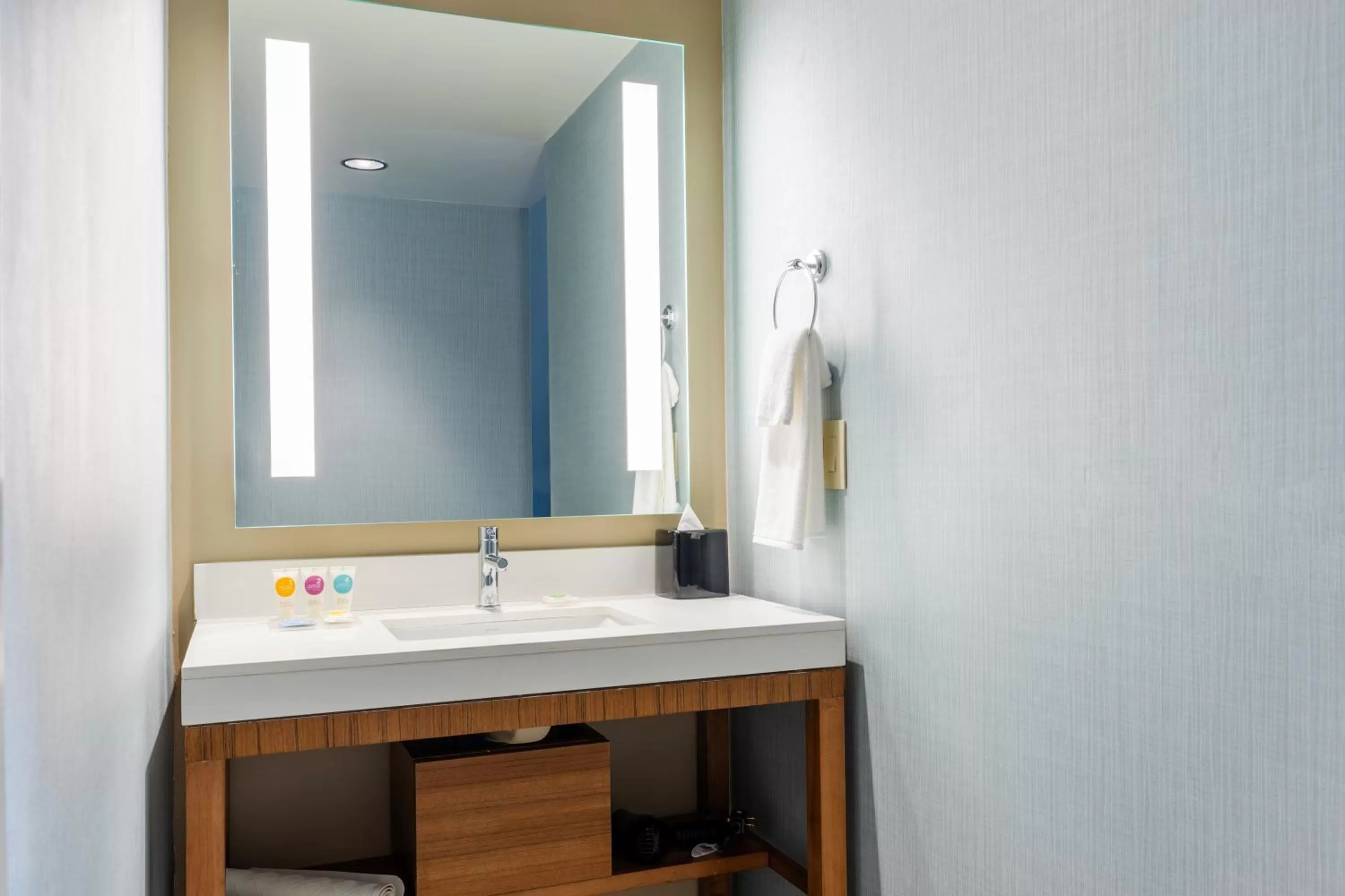 Bathroom in Hyatt Place Atlanta Centennial Park