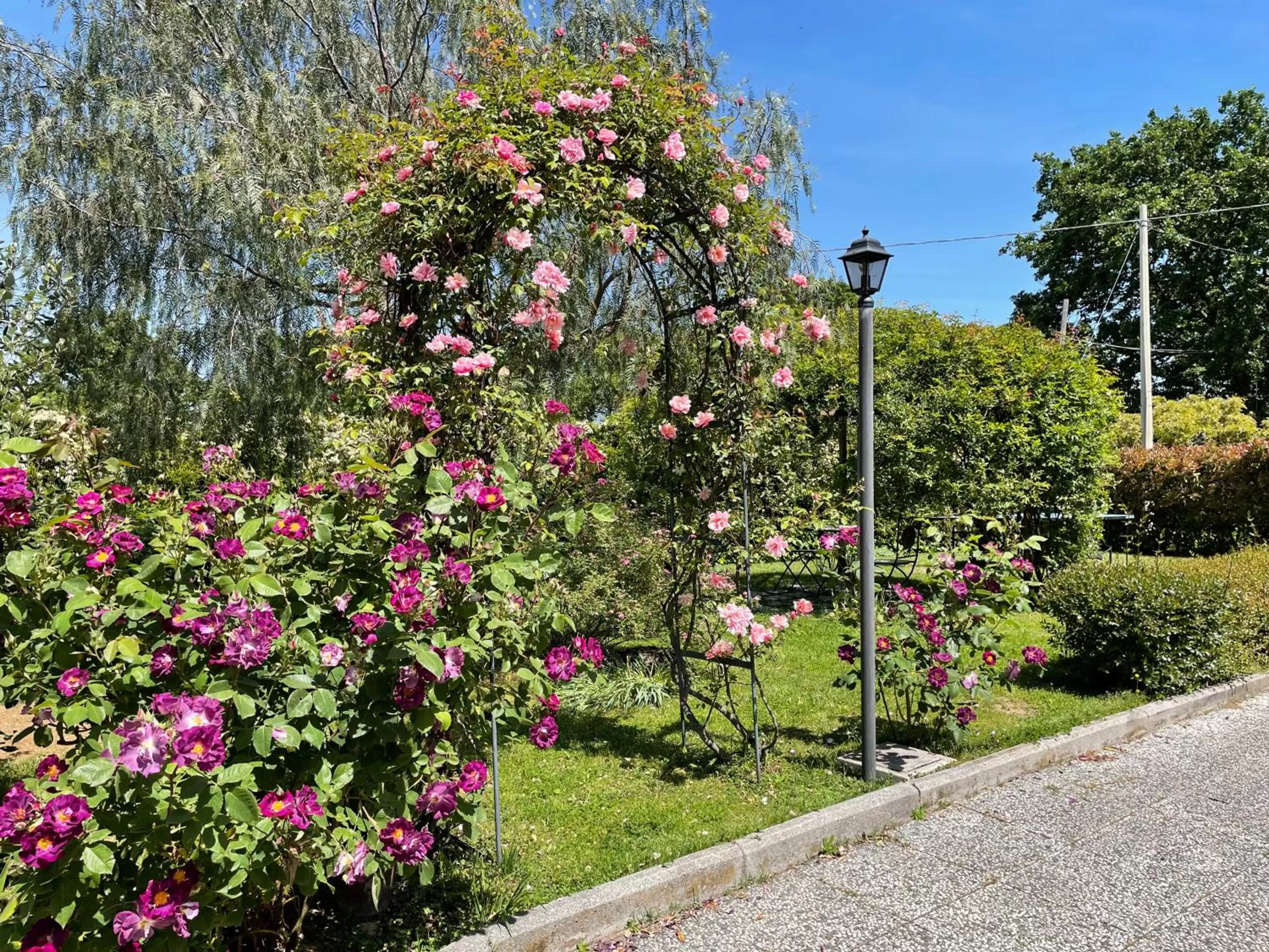 Garden in Home Sweet Home