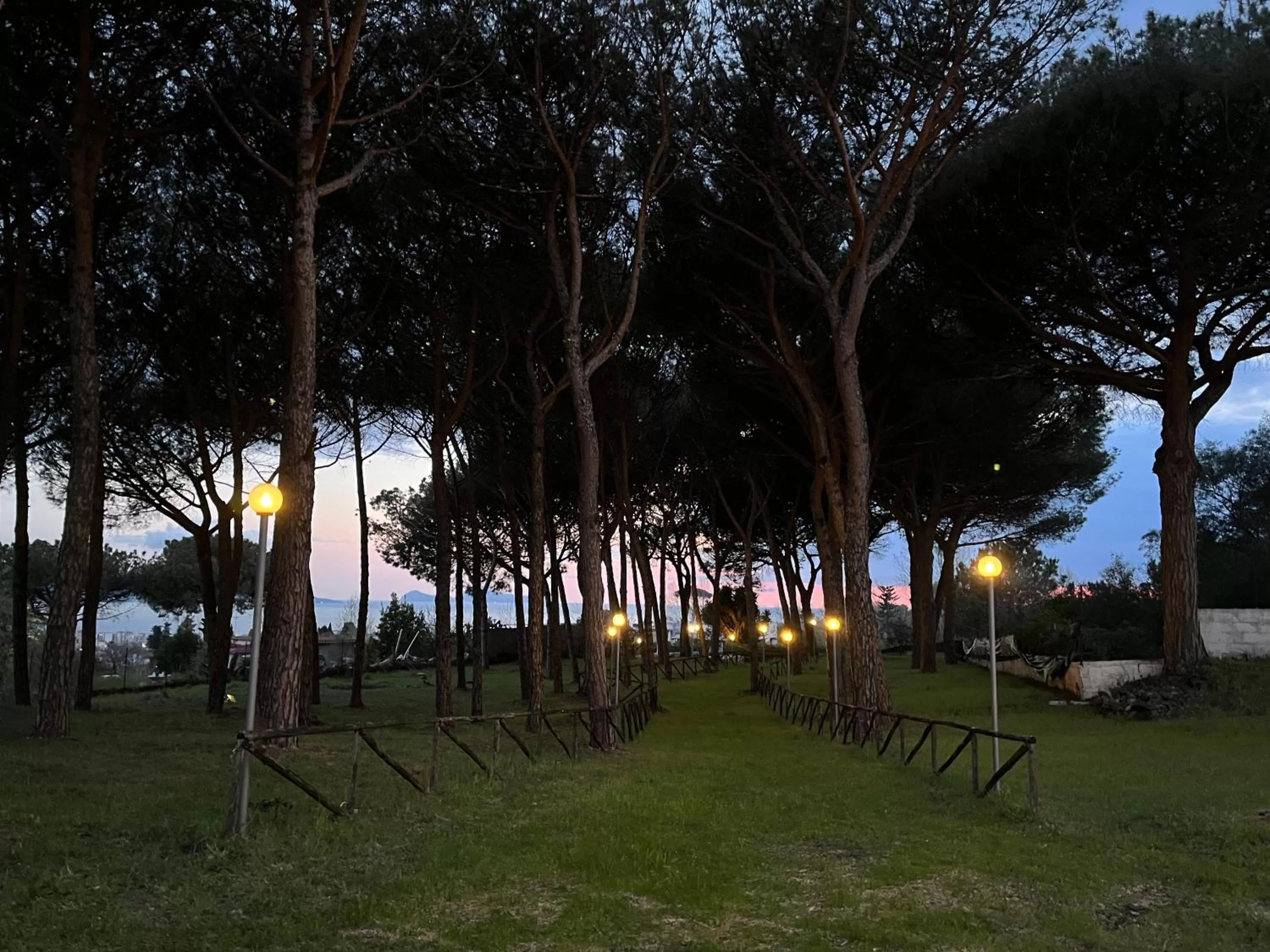 Natural landscape in Bosco Mattavona